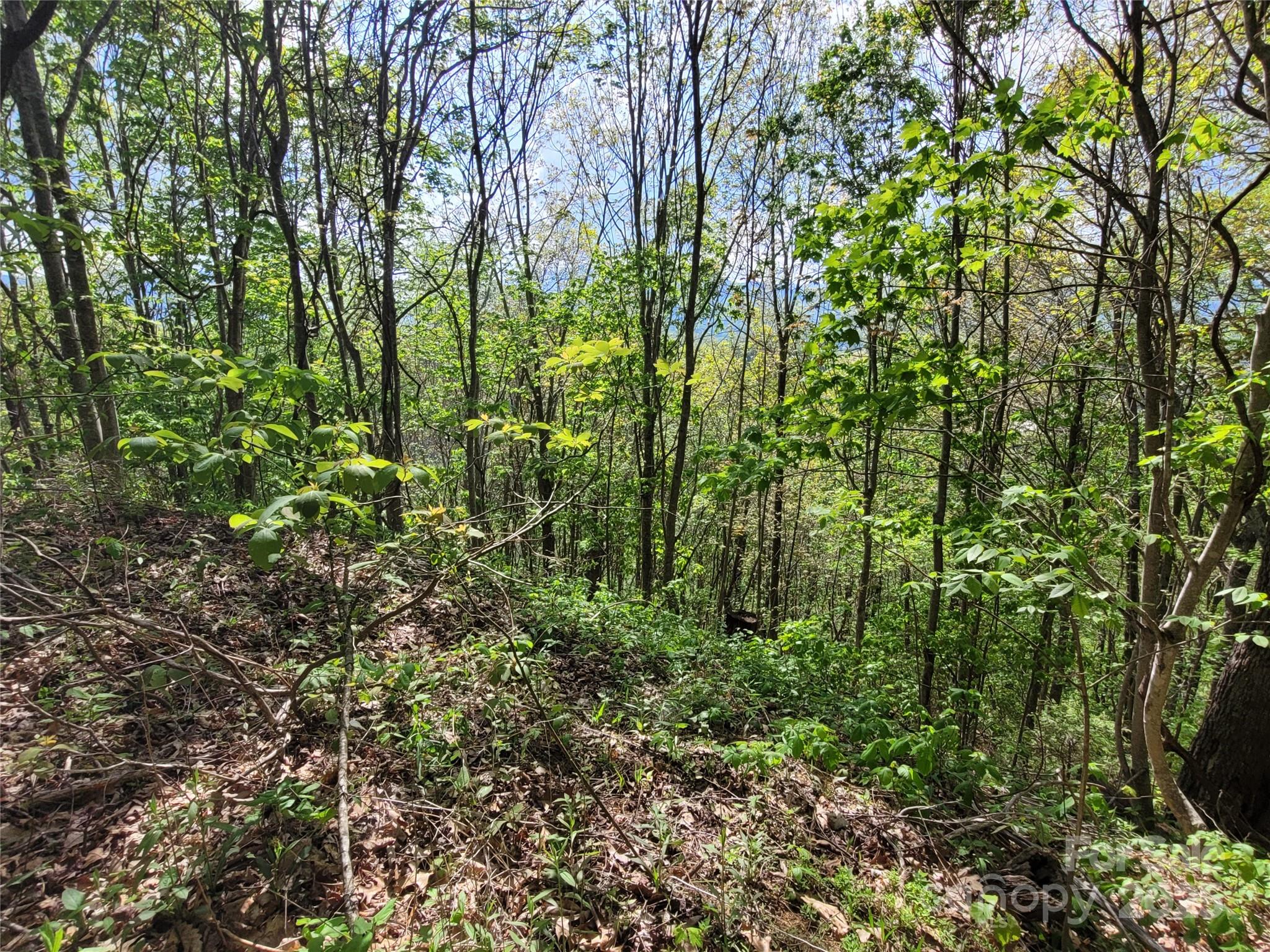 Lot at 00 Liner Cove Road, Waynesville, photo 8 of 8