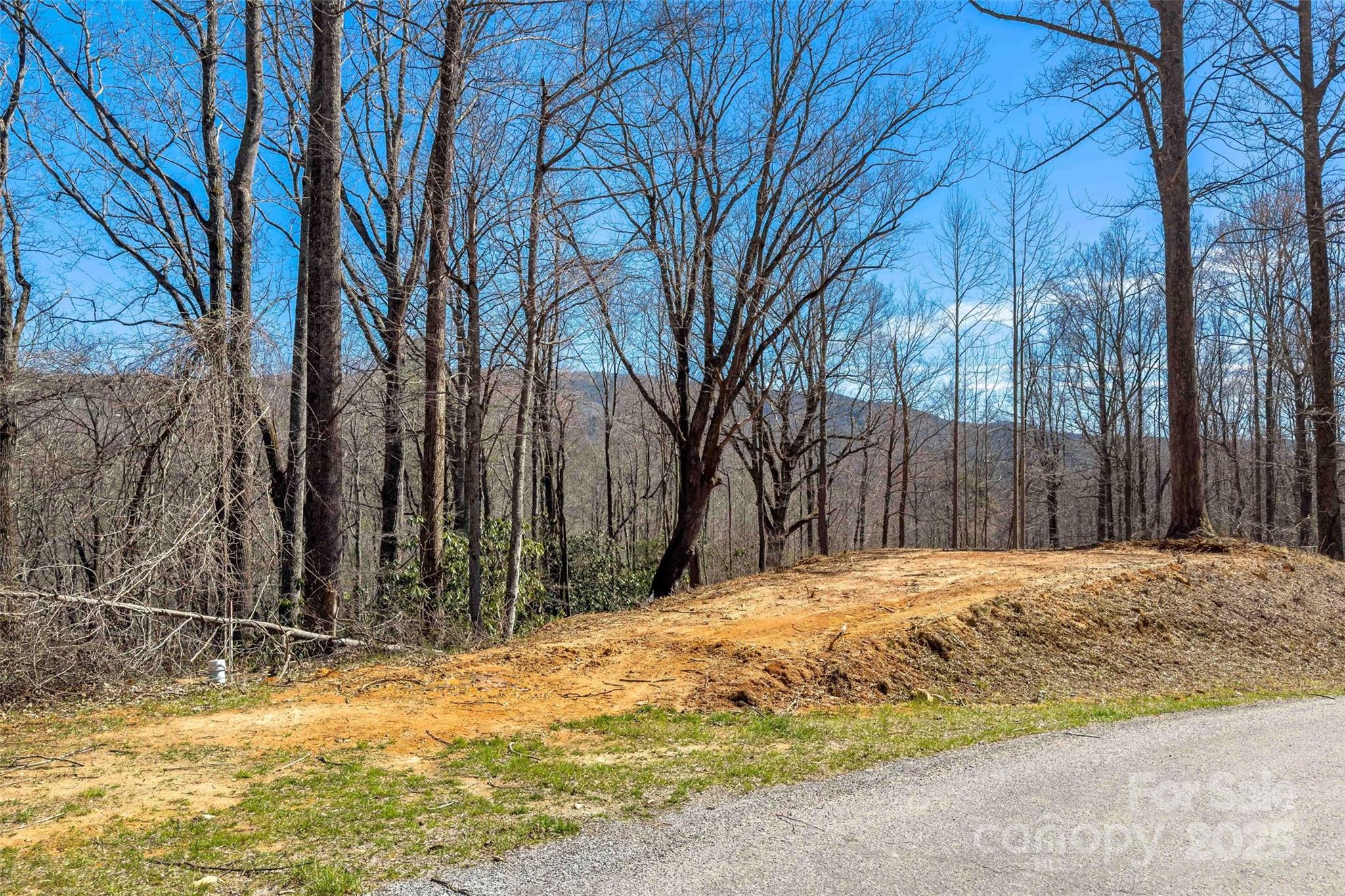 Driveway area onto Catawba Drive - Lot# 158 Hunnicut Mountain Road, Marion