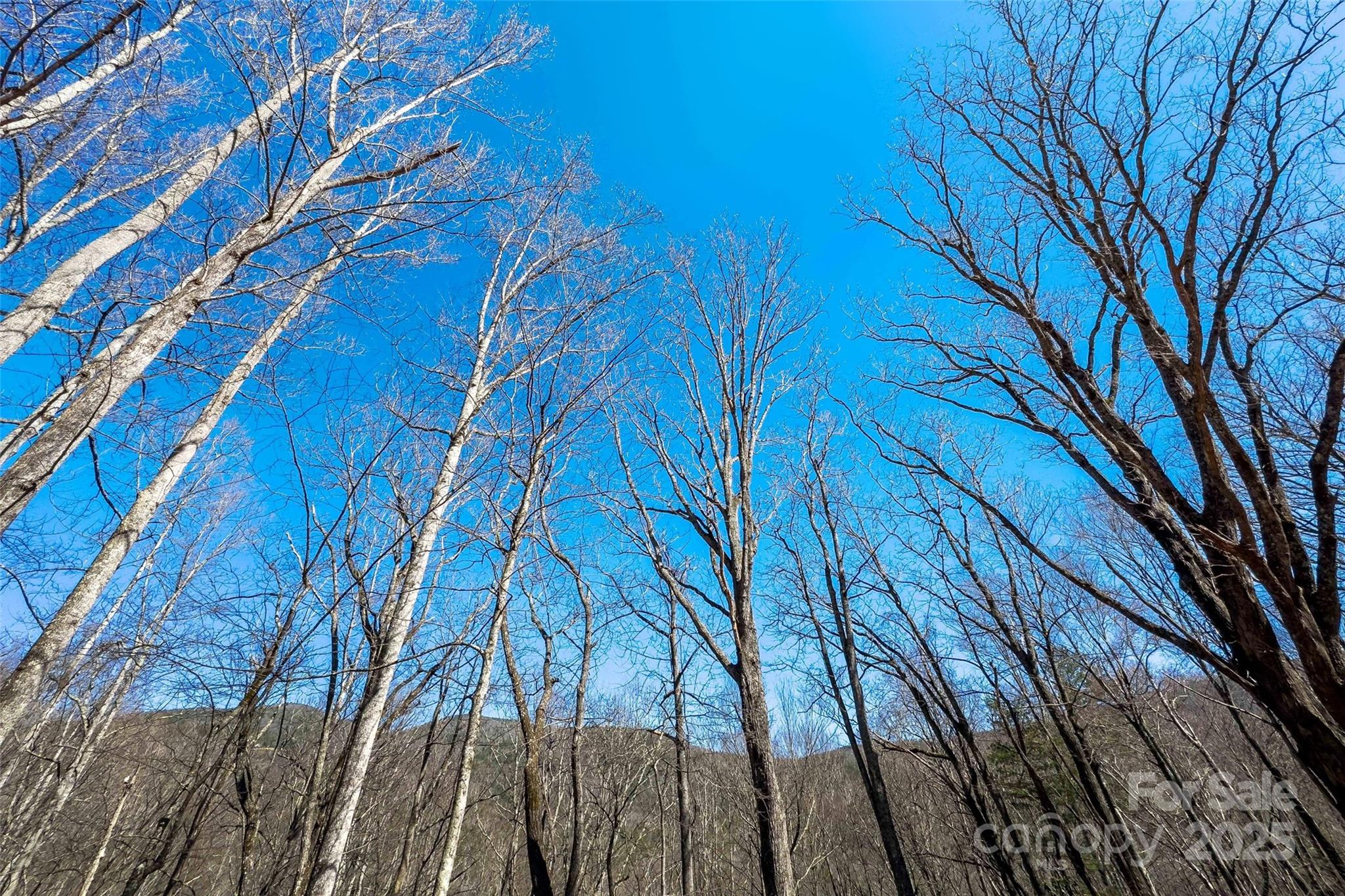 Lot at Lot# 158 Hunnicut Mountain Road, Marion, photo 12 of 20