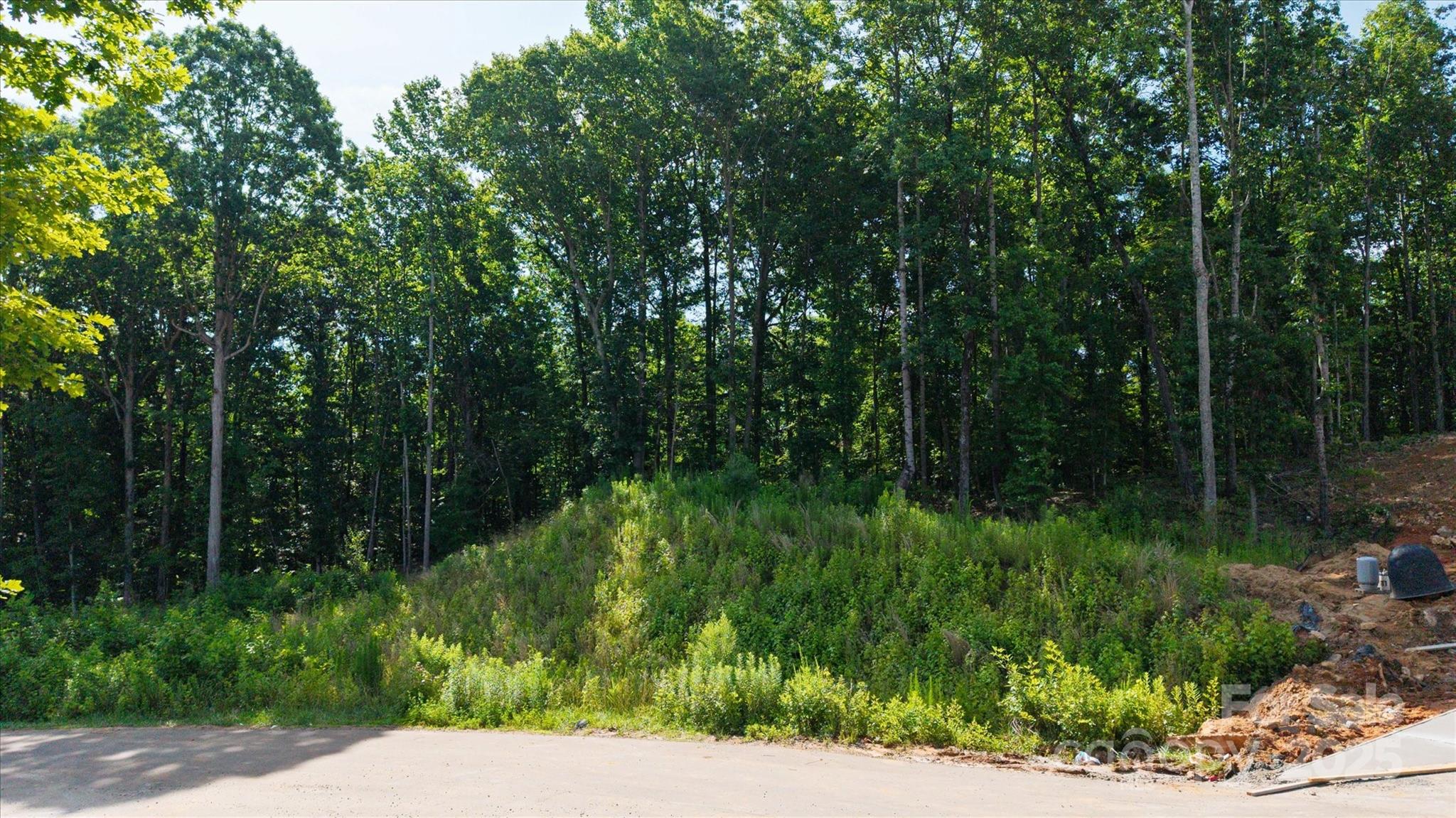 Lot at 0 Honey Tree Lane, Kannapolis, photo 2 of 7