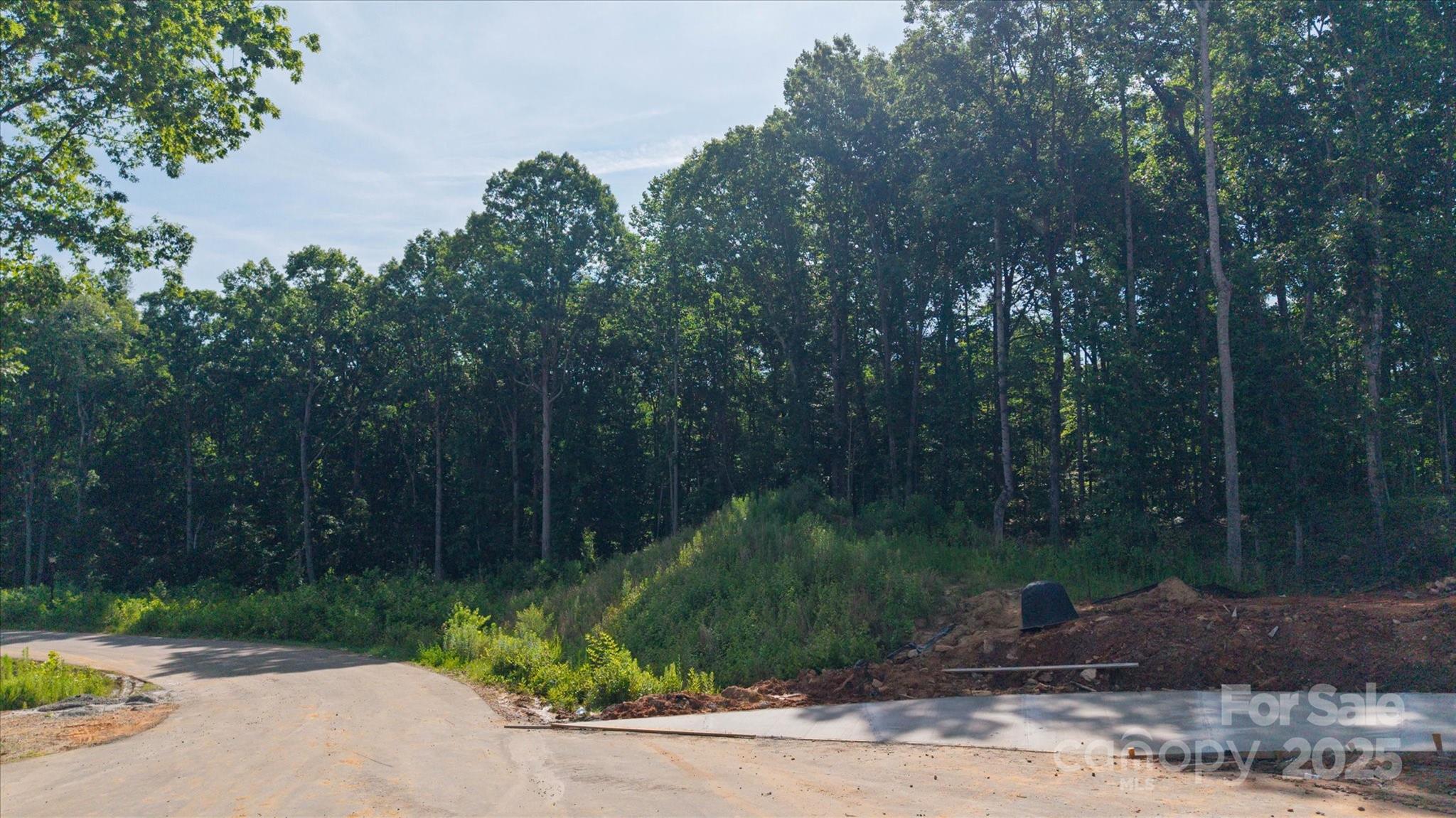 Lot at 0 Honey Tree Lane, Kannapolis, photo 3 of 7