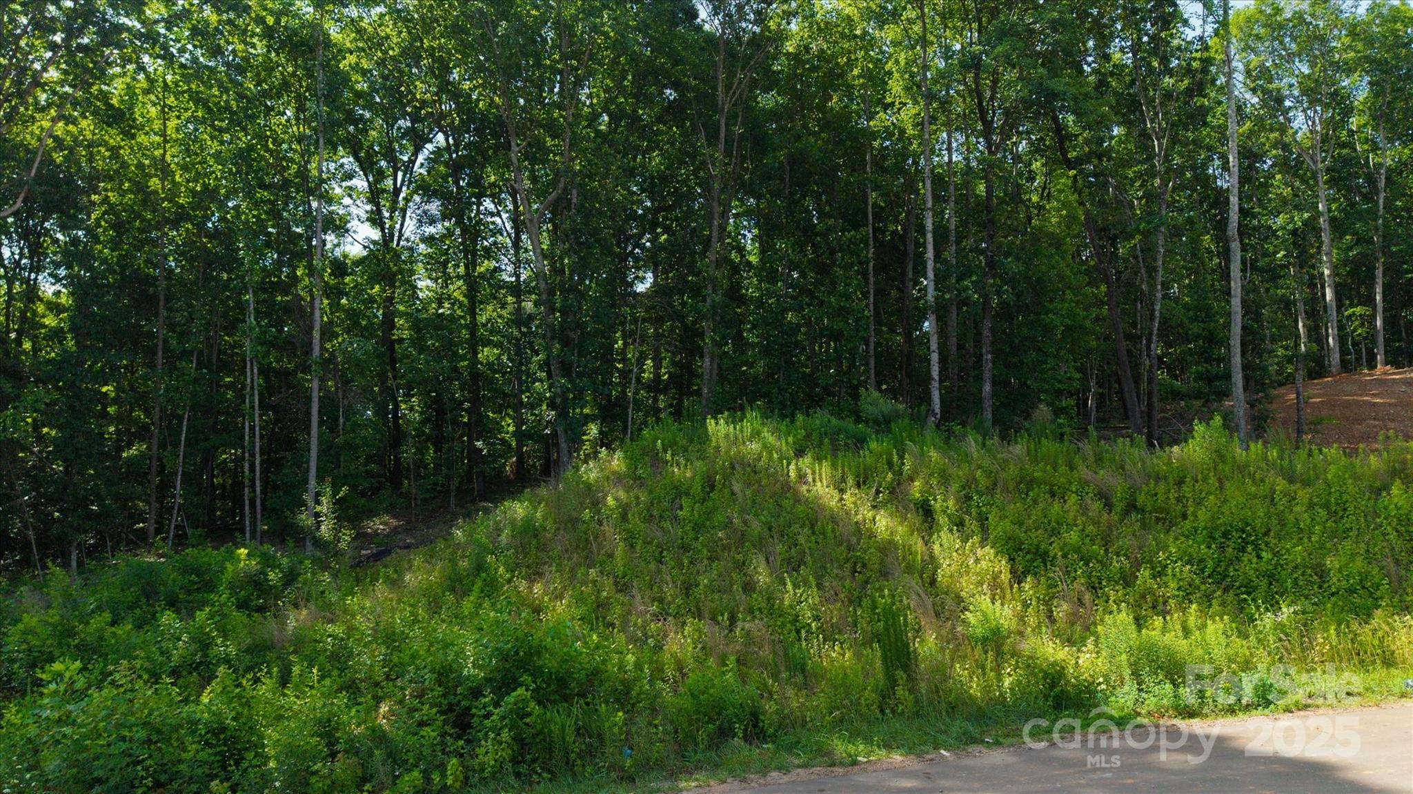 Lot at 0 Honey Tree Lane, Kannapolis, photo 4 of 7