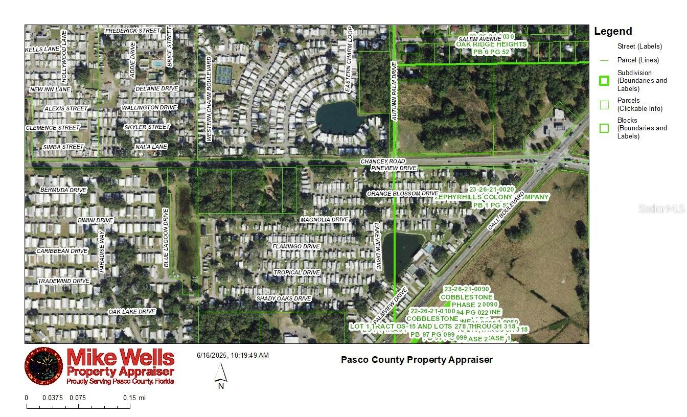 Business at 37750 CHANCEY RD, ZEPHYRHILLS