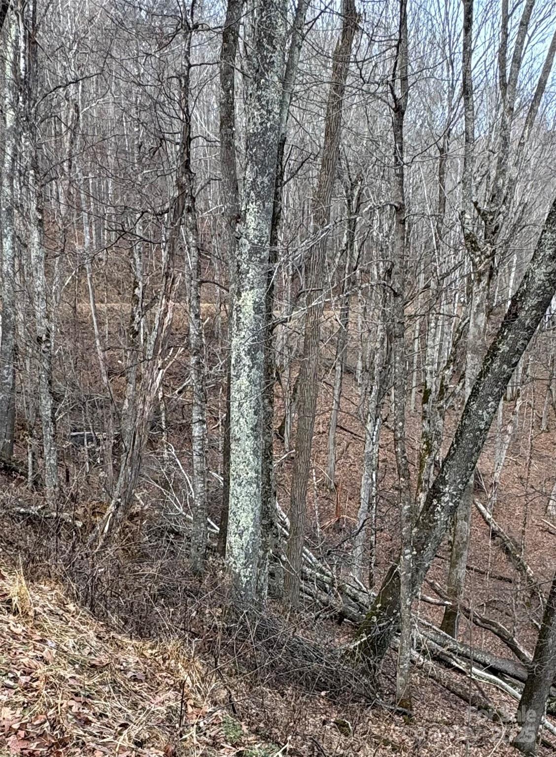 00 Spring Brook Drive