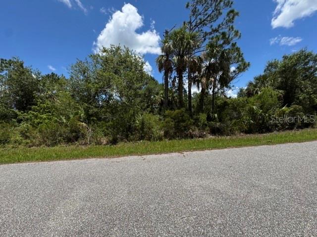 Land at 3266 GABOR ST, PORT CHARLOTTE, photo 6 of 8