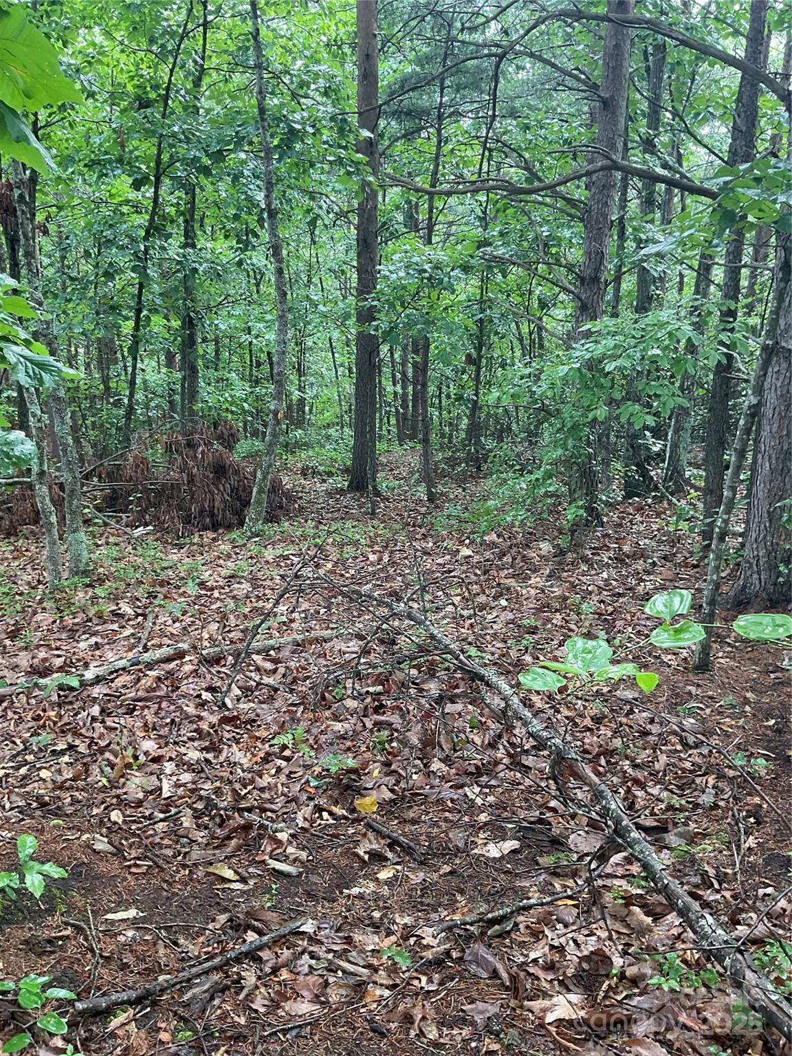 Lot at 0 Valley View Court, Hickory, photo 4 of 44