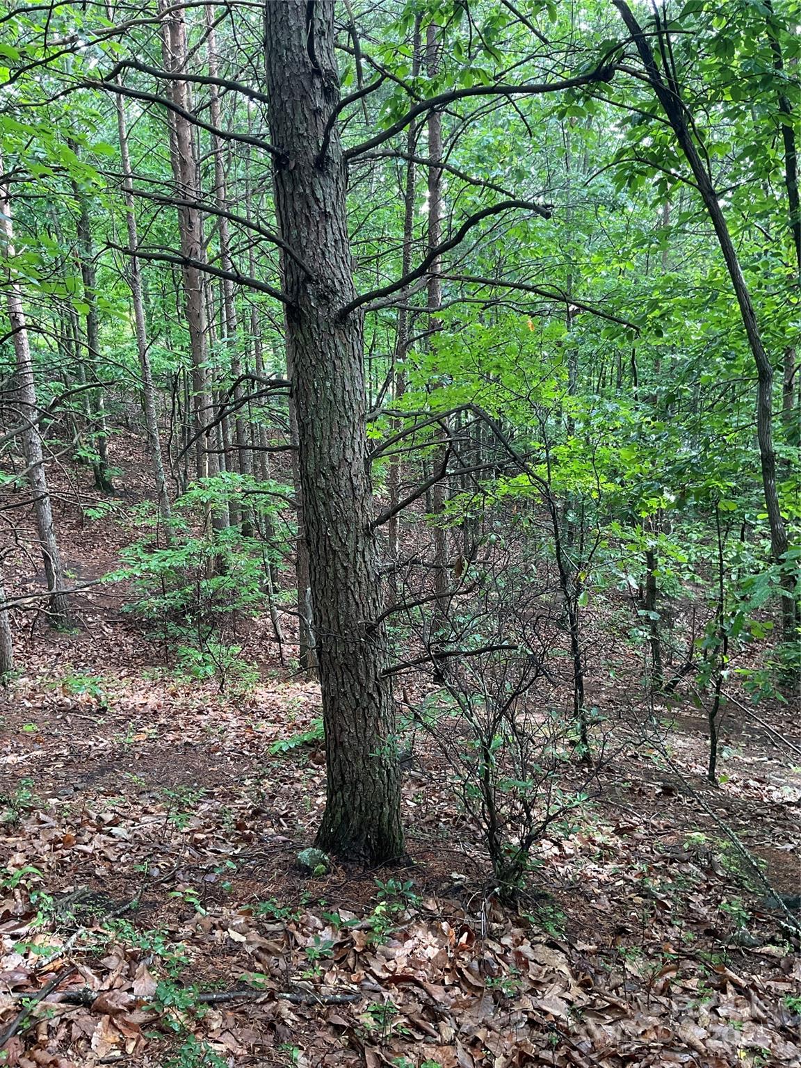 Lot at 0 Valley View Court, Hickory, photo 10 of 44