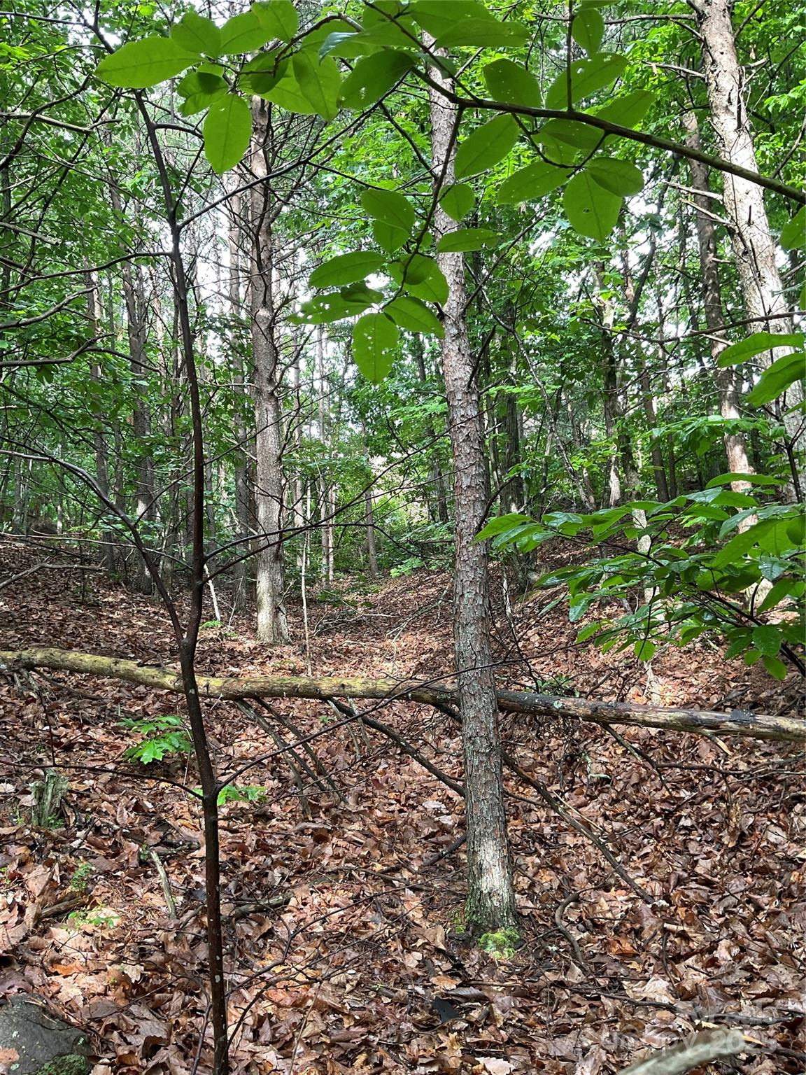 Lot at 0 Valley View Court, Hickory, photo 12 of 44