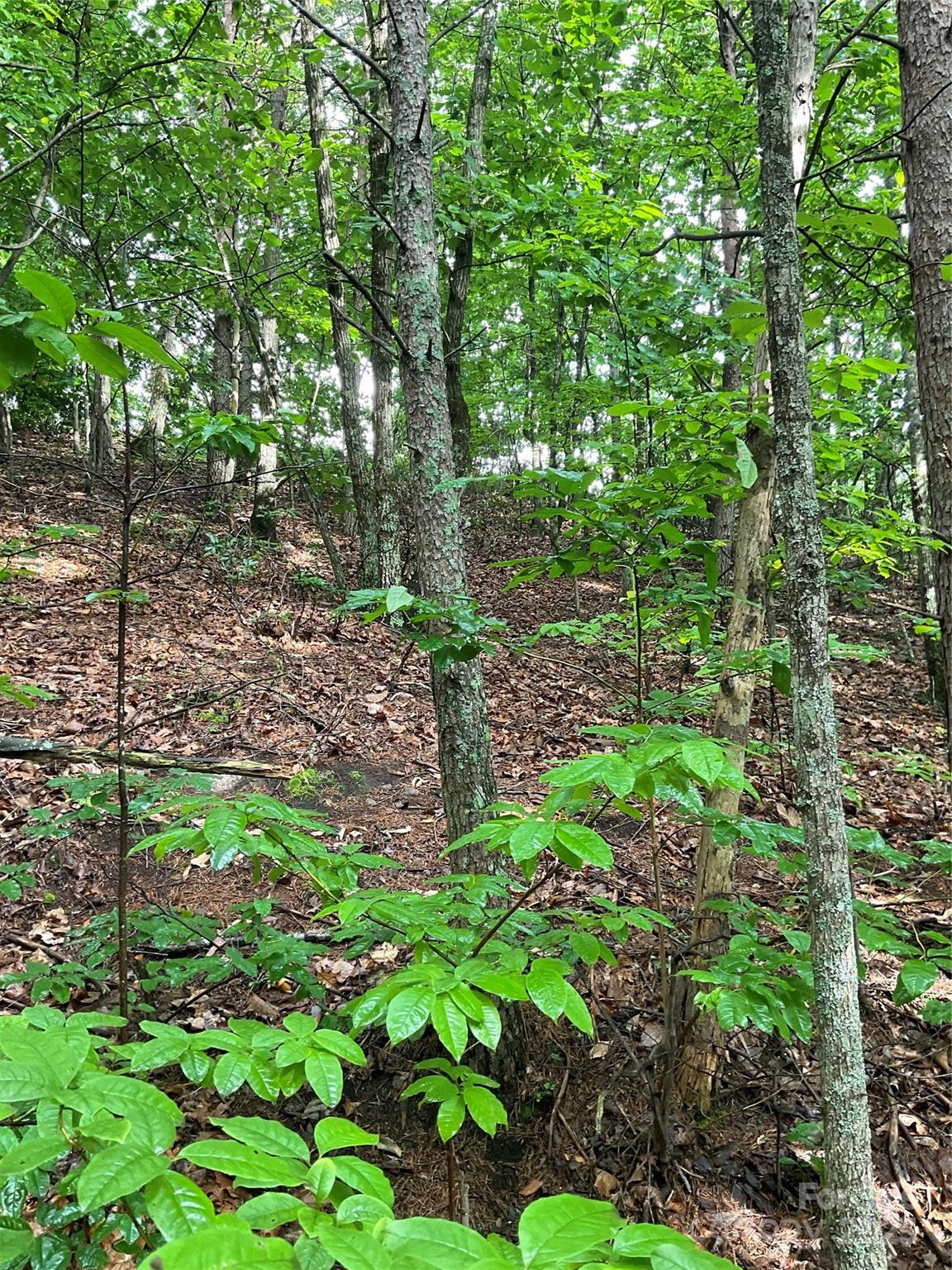 Lot at 0 Valley View Court, Hickory, photo 13 of 44