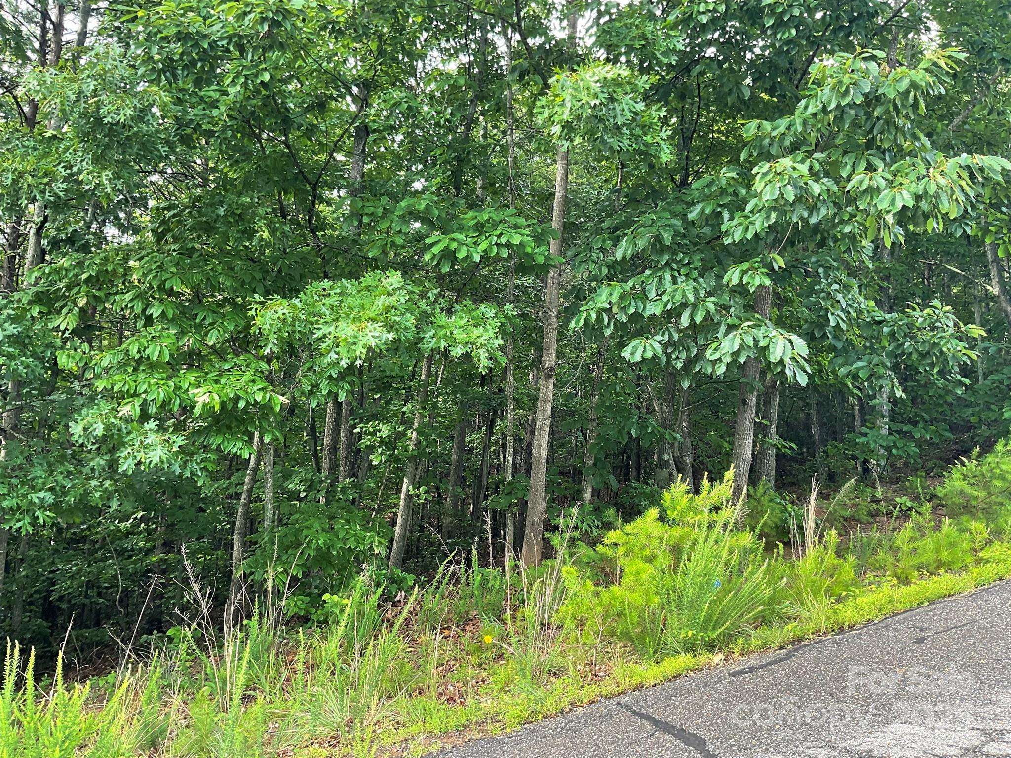 Lot at 0 Valley View Court, Hickory, photo 15 of 44