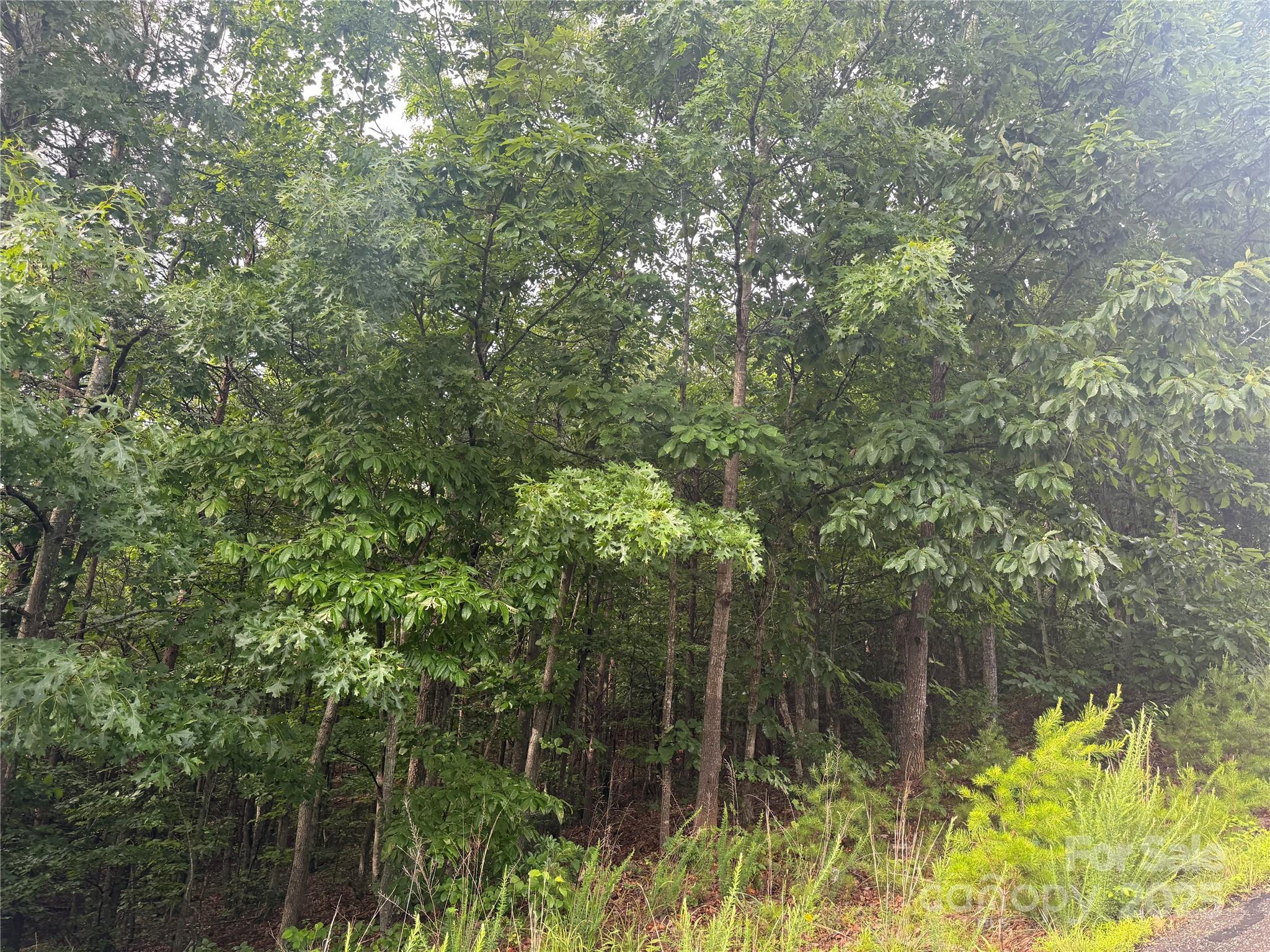 Lot at 0 Valley View Court, Hickory, photo 22 of 44