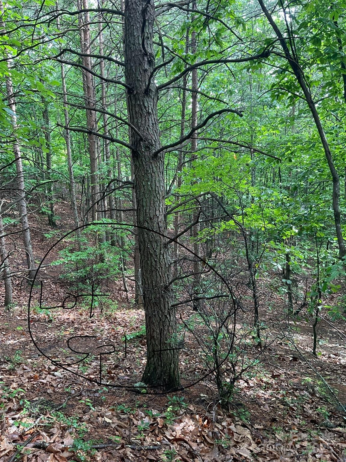 Lot at 0 Valley View Court, Hickory, photo 24 of 44