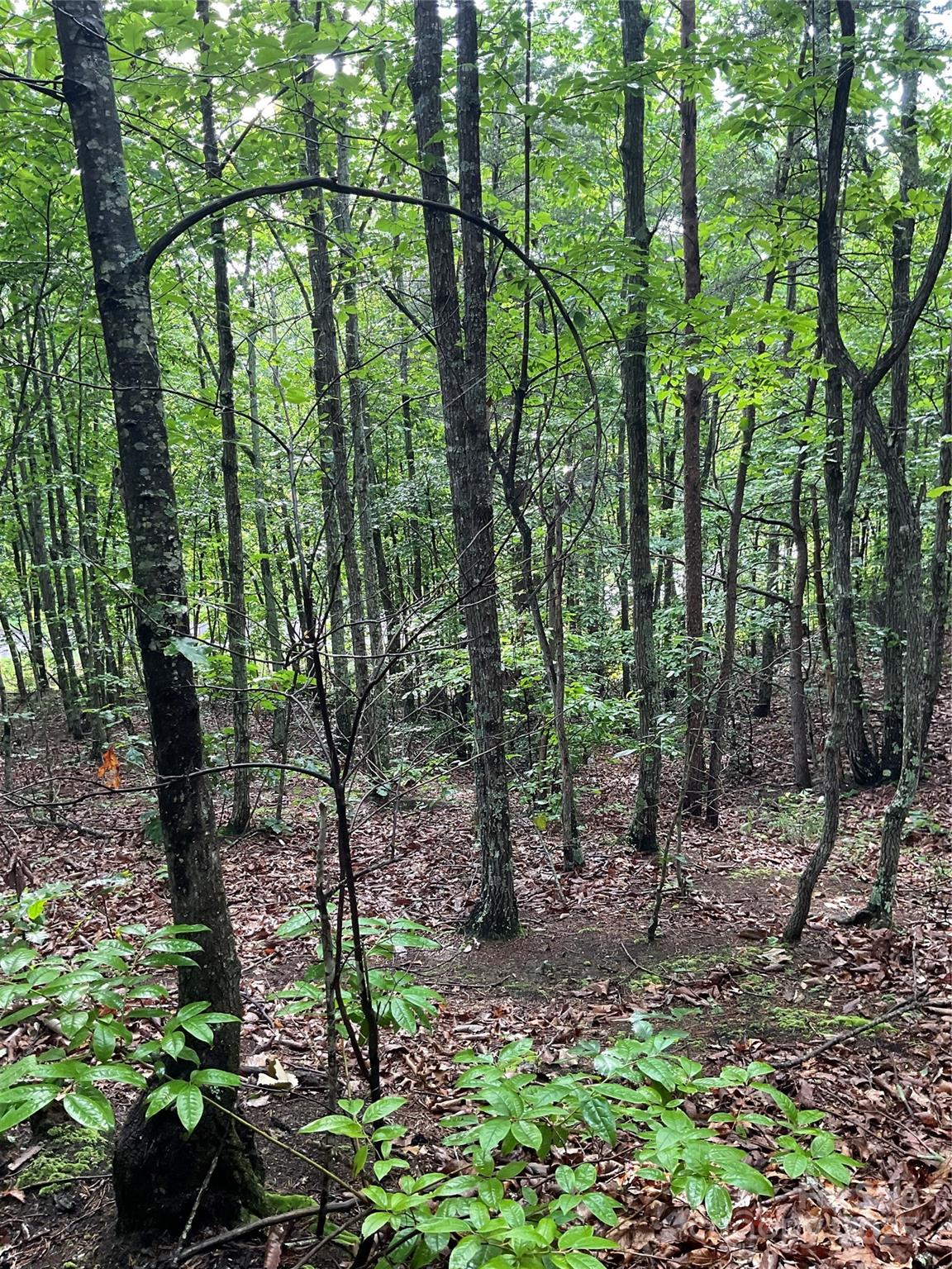 Lot at 0 Valley View Court, Hickory, photo 31 of 44