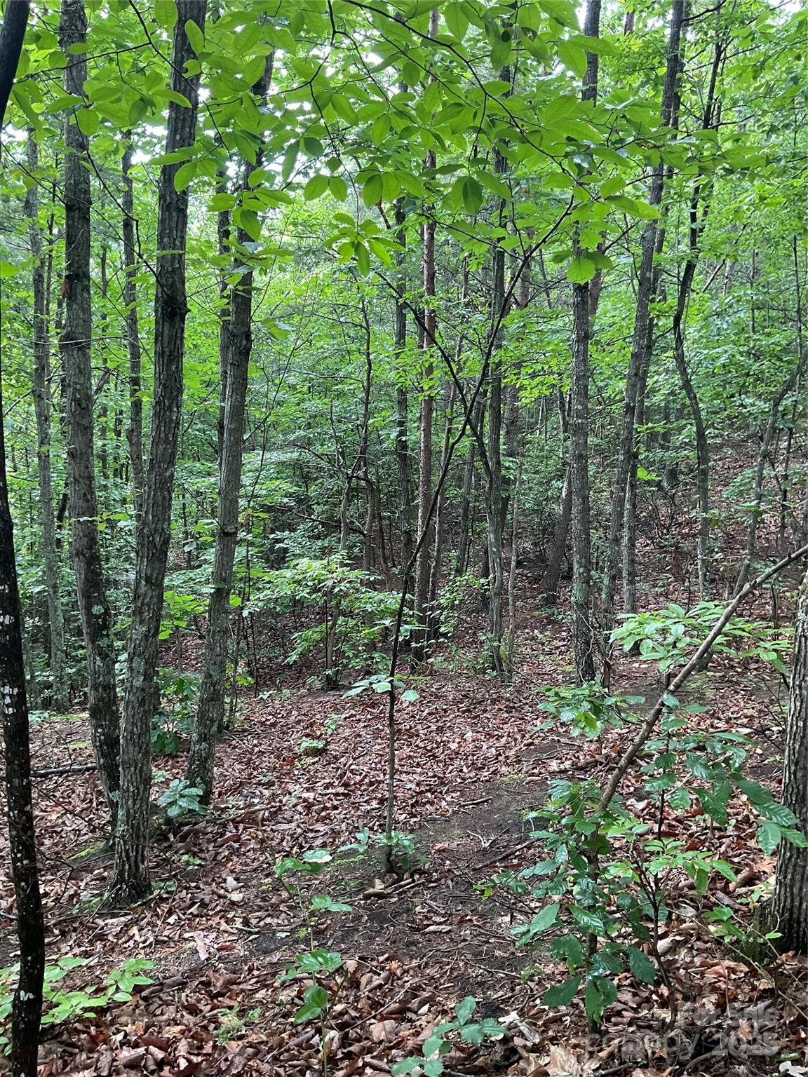Lot at 0 Valley View Court, Hickory, photo 34 of 44