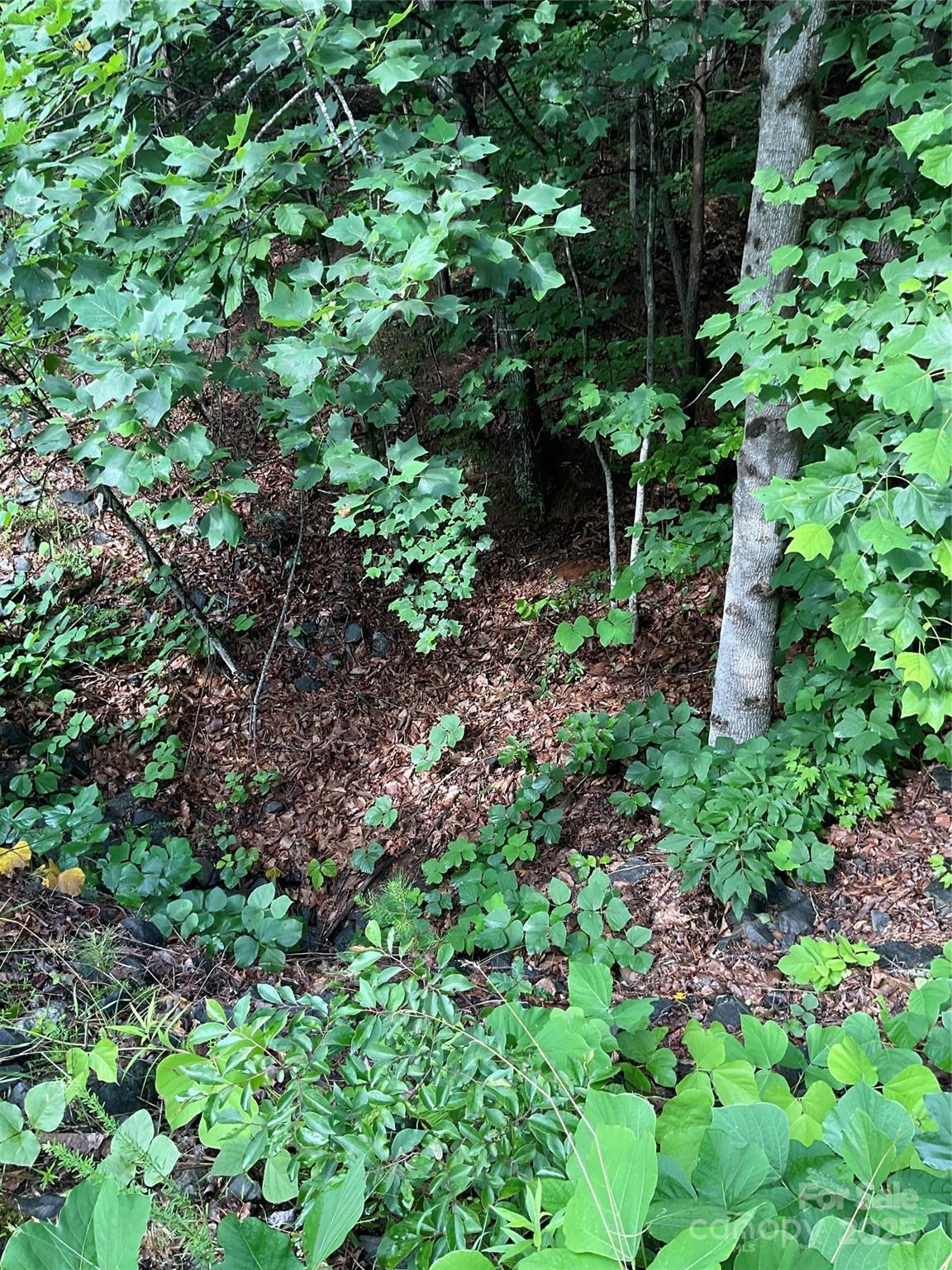 Lot at 0 Valley View Court, Hickory, photo 3 of 22