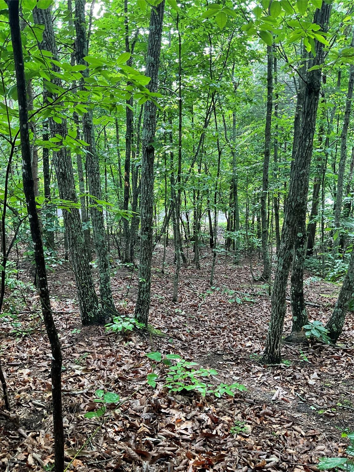 Lot at 0 Valley View Court, Hickory, photo 13 of 22