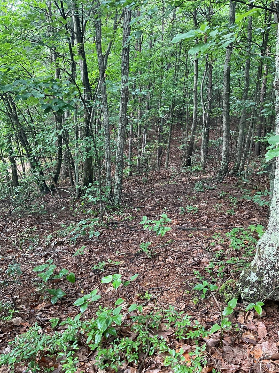 Lot at 0 Valley View Court, Hickory, photo 21 of 22