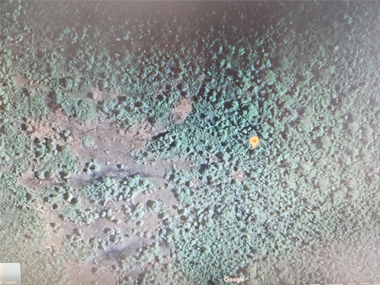 HOLOPAW GROVES RD