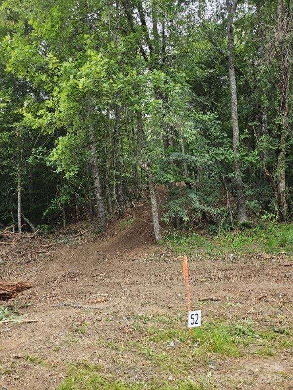 Lot at 9999 Settlers Trail, Mars Hill, photo 2 of 15