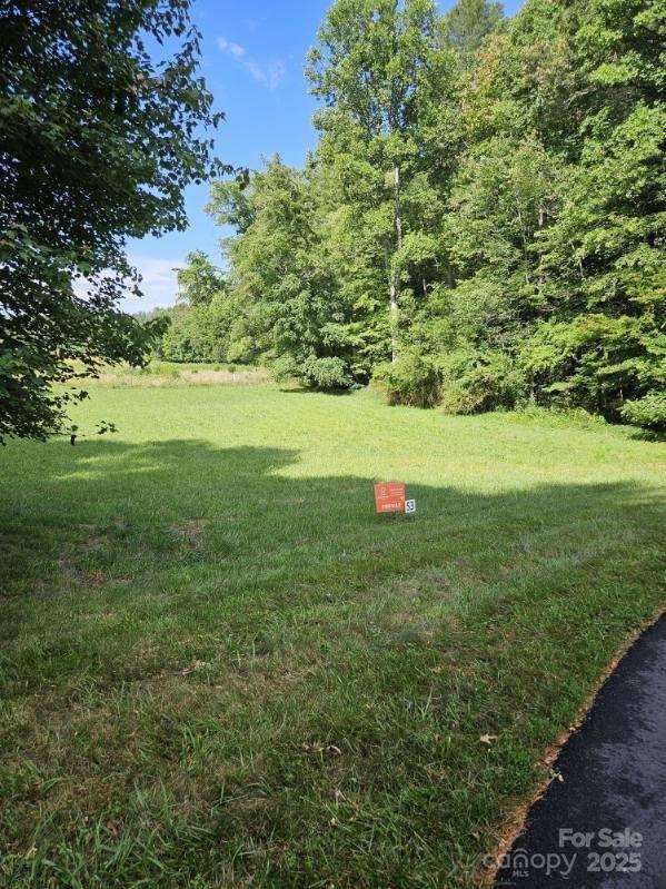 Lot at 9999 Settlers Trail, Mars Hill, photo 2 of 16