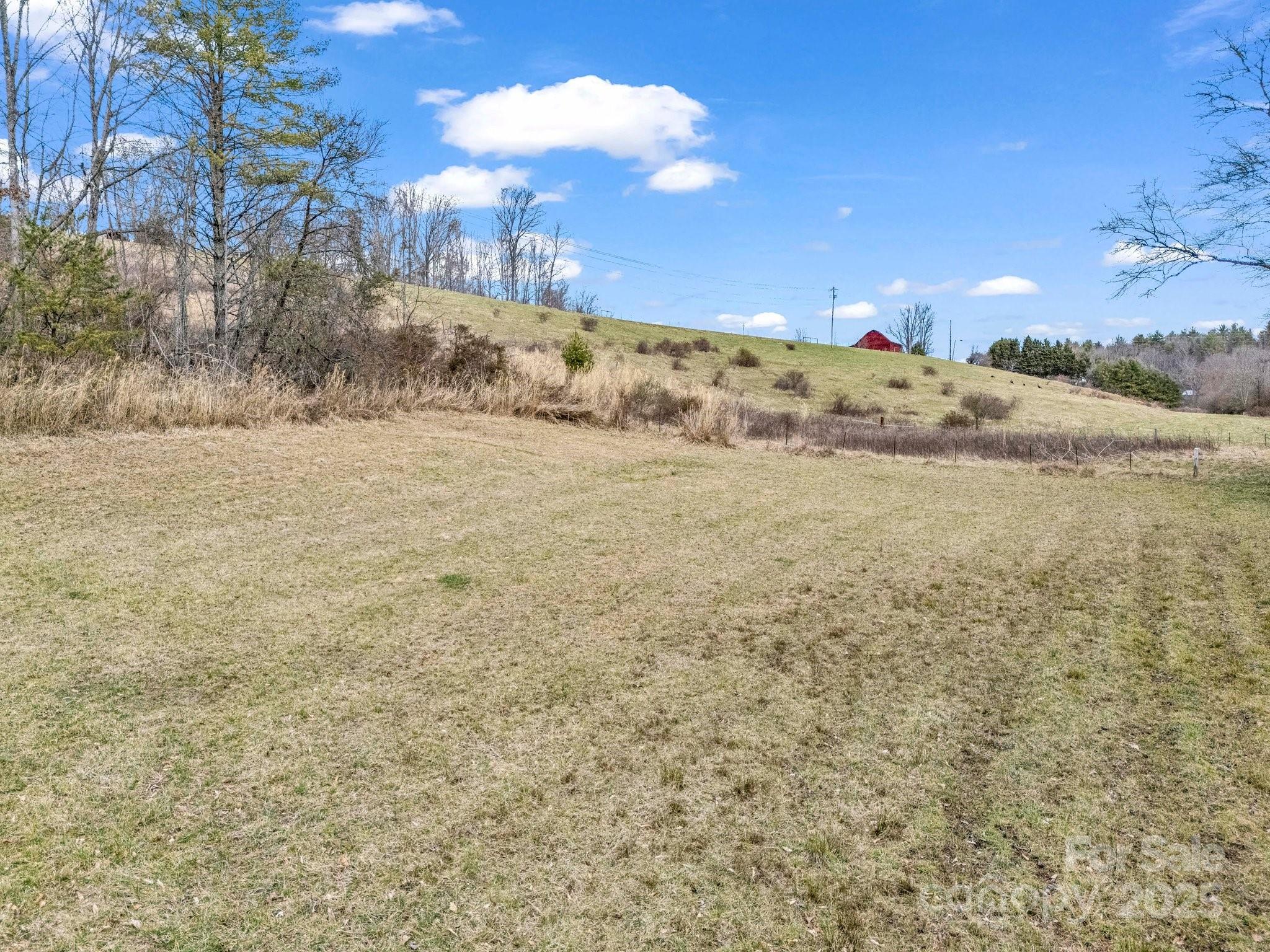 Lot at 9999 Settlers Trail, Mars Hill, photo 8 of 16
