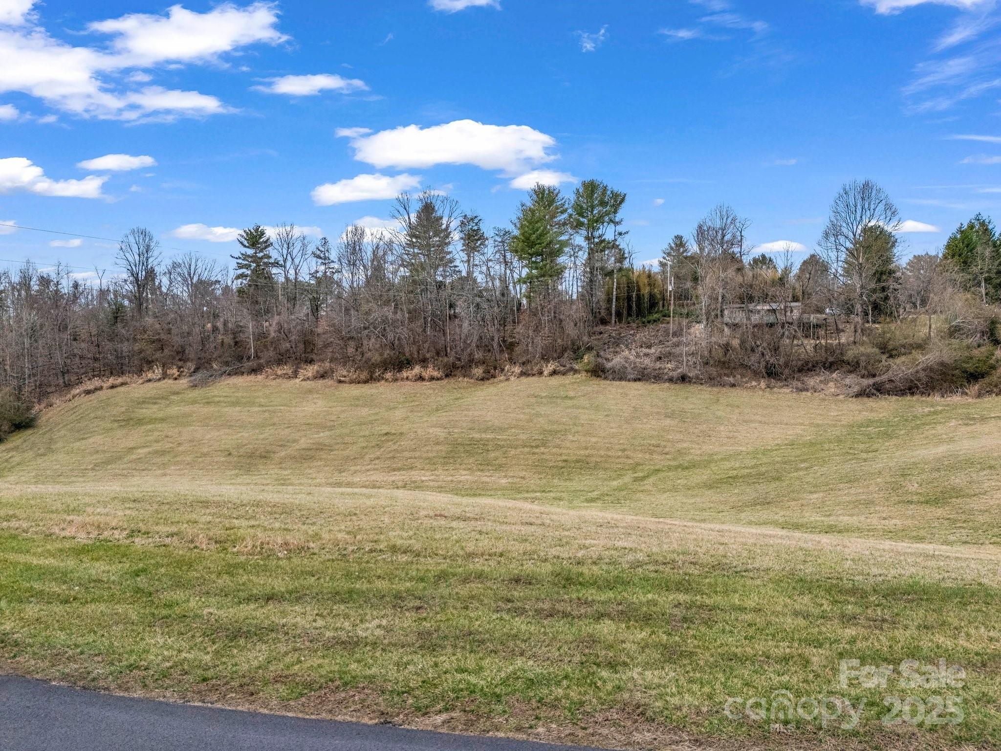 Lot at 9999 Gabriels Creek Road, Mars Hill, photo 11 of 18