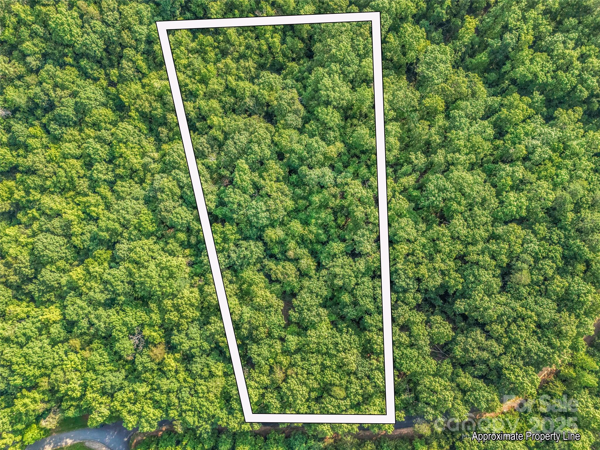 0 Forest Country Drive