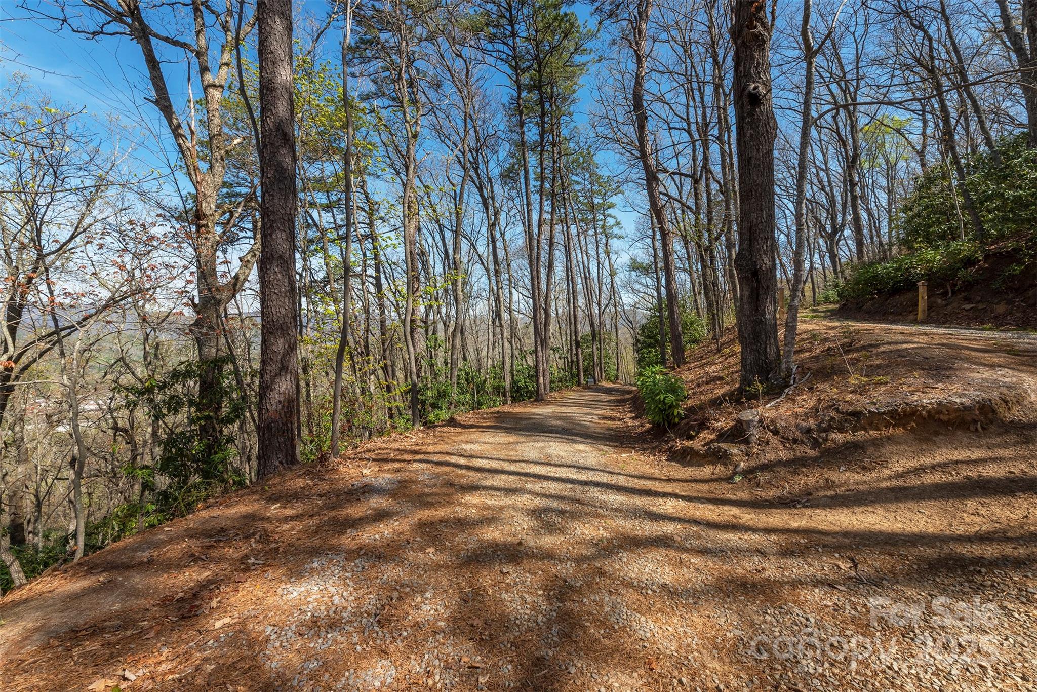 Lot at 99999 Sunset Drive, Black Mountain, photo 2 of 48