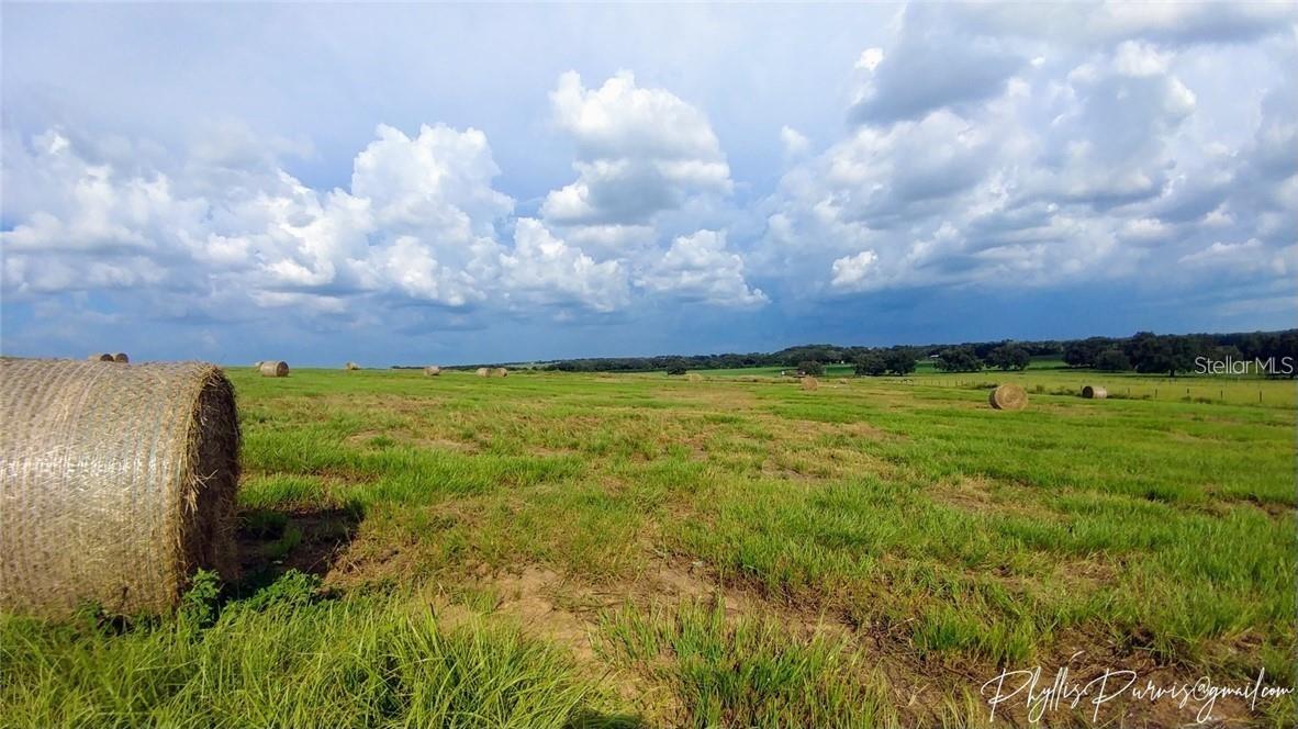 Land at 8440 GALL BLVD, ZEPHYRHILLS