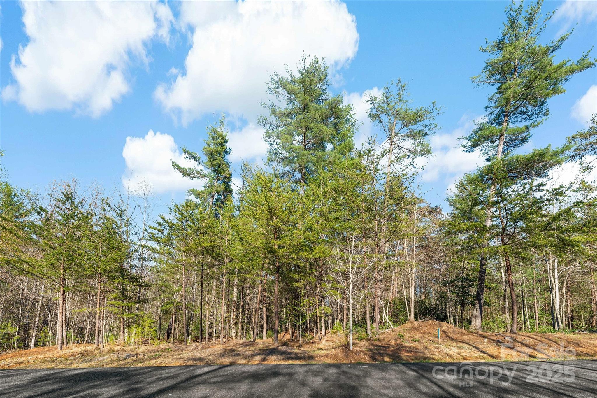 Lot at 342 Waters Edge Drive, Nebo, photo 7 of 17