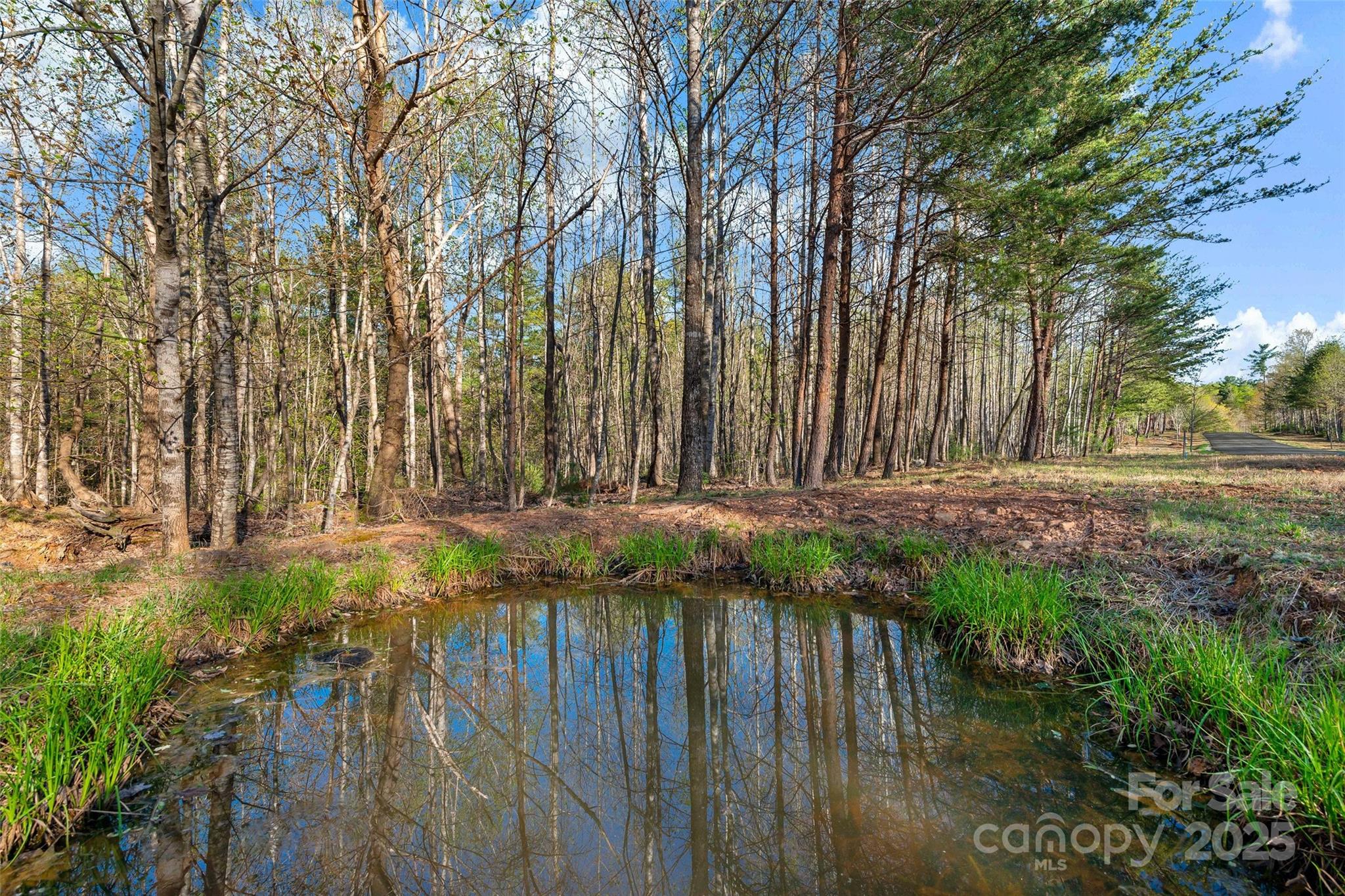 Lot at 342 Waters Edge Drive, Nebo, photo 8 of 17