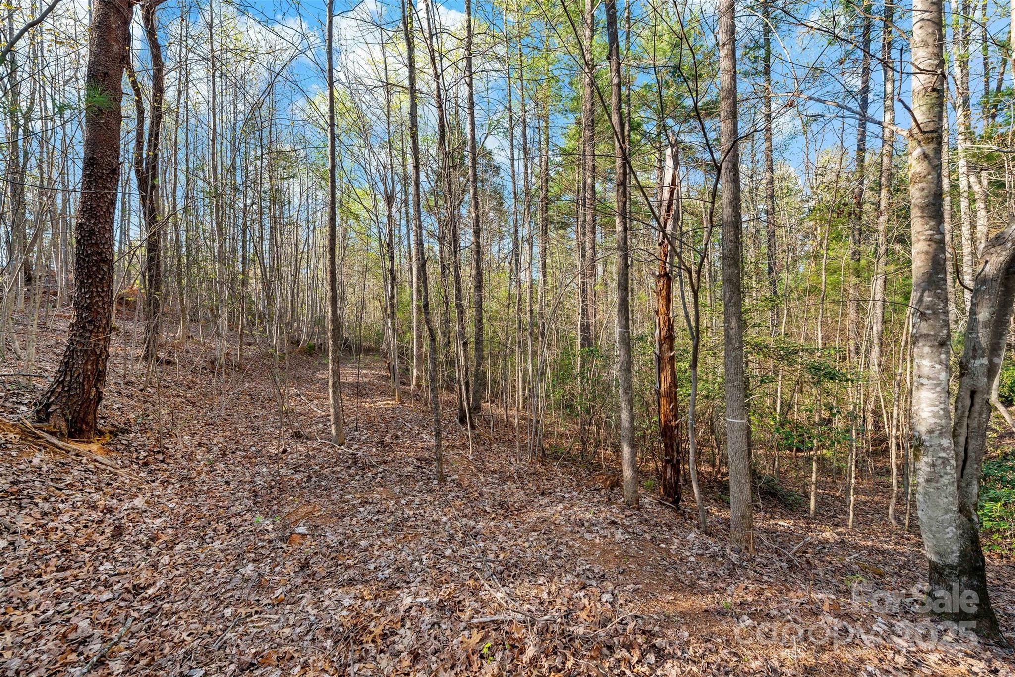 Lot at 342 Waters Edge Drive, Nebo, photo 9 of 17
