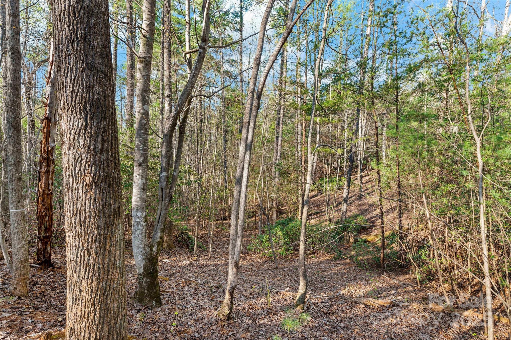 Lot at 342 Waters Edge Drive, Nebo, photo 10 of 17