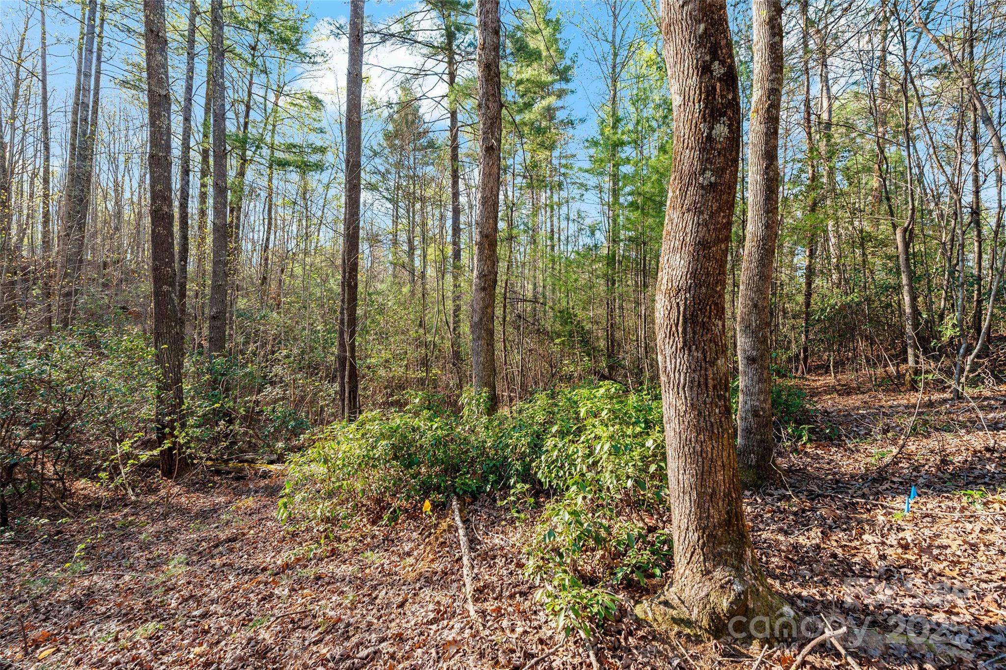 Lot at 342 Waters Edge Drive, Nebo, photo 11 of 17