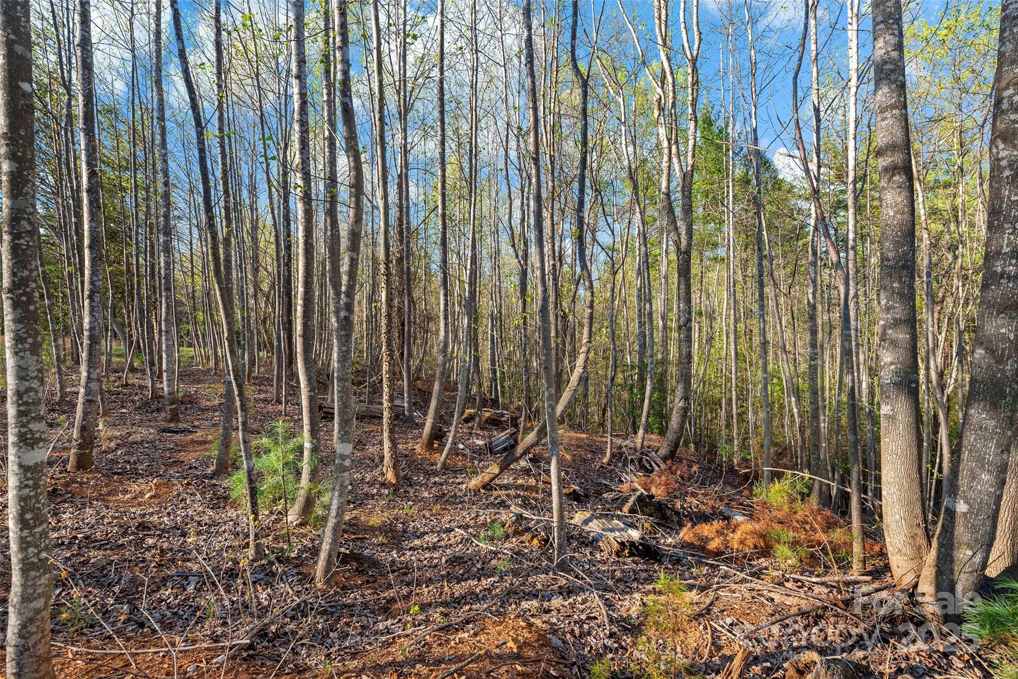 Lot at 342 Waters Edge Drive, Nebo, photo 13 of 17