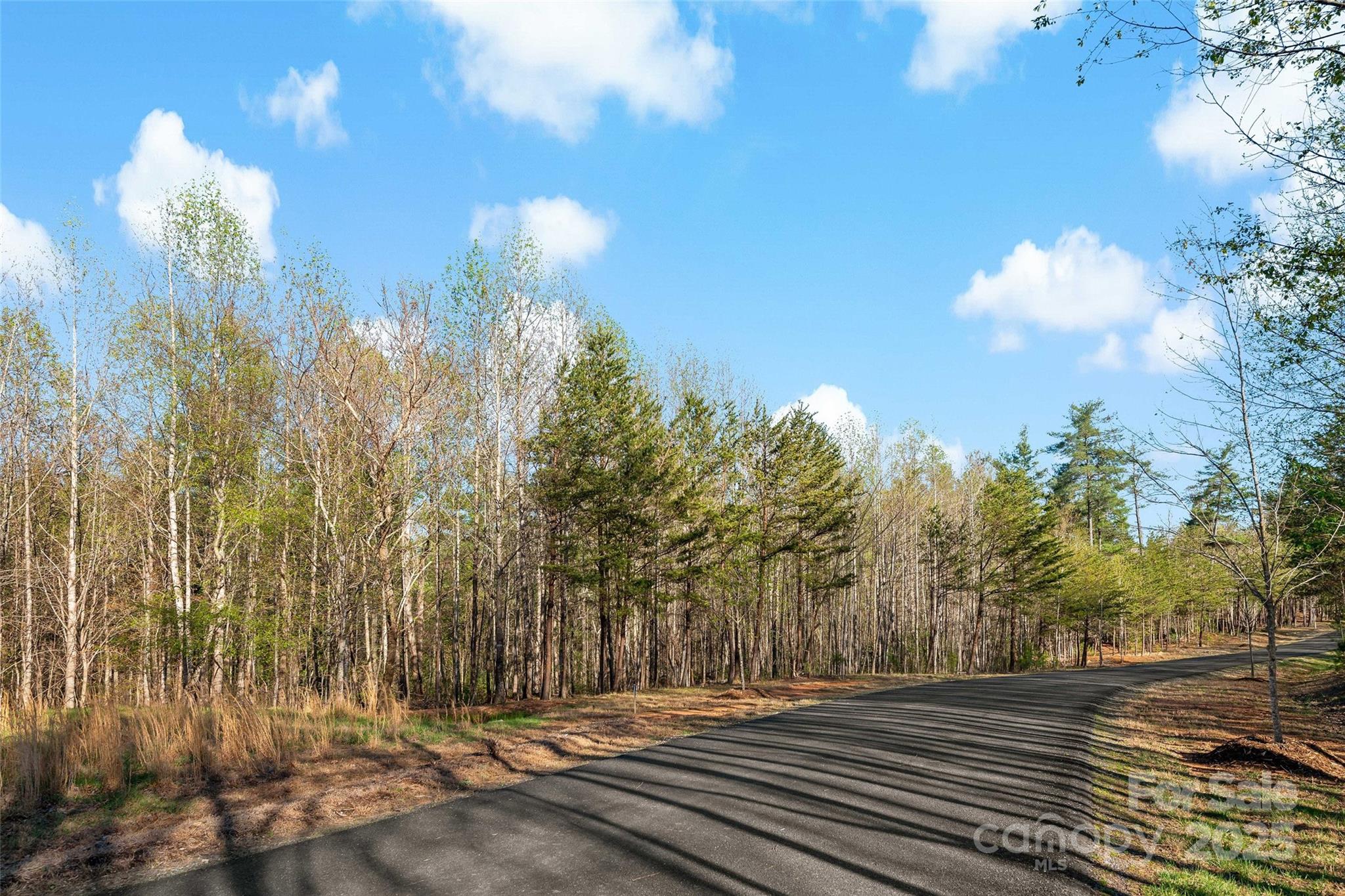 Lot at 342 Waters Edge Drive, Nebo, photo 14 of 17