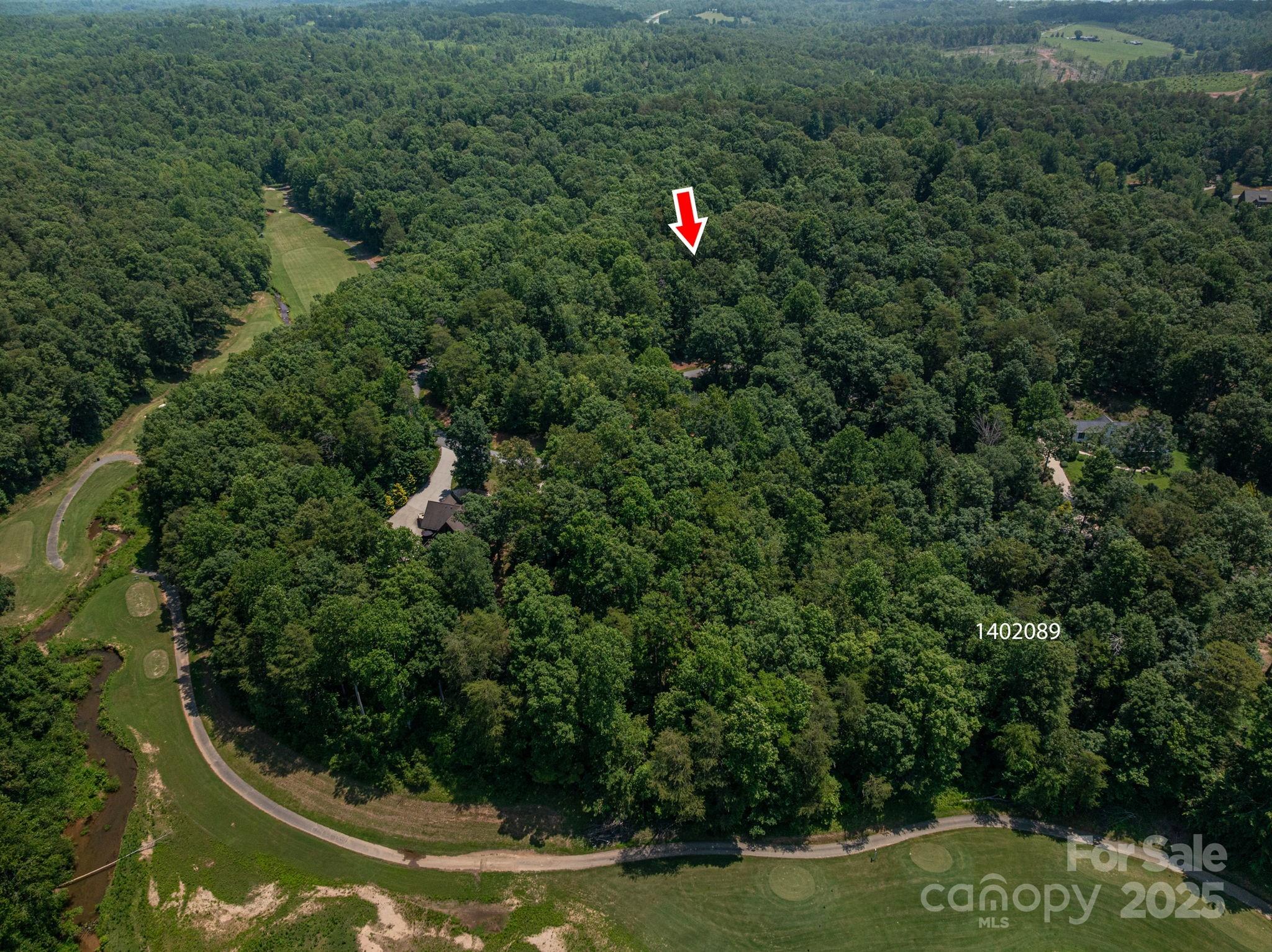 Lot at Lot #38 Moss Drive, Rutherfordton, photo 3 of 24