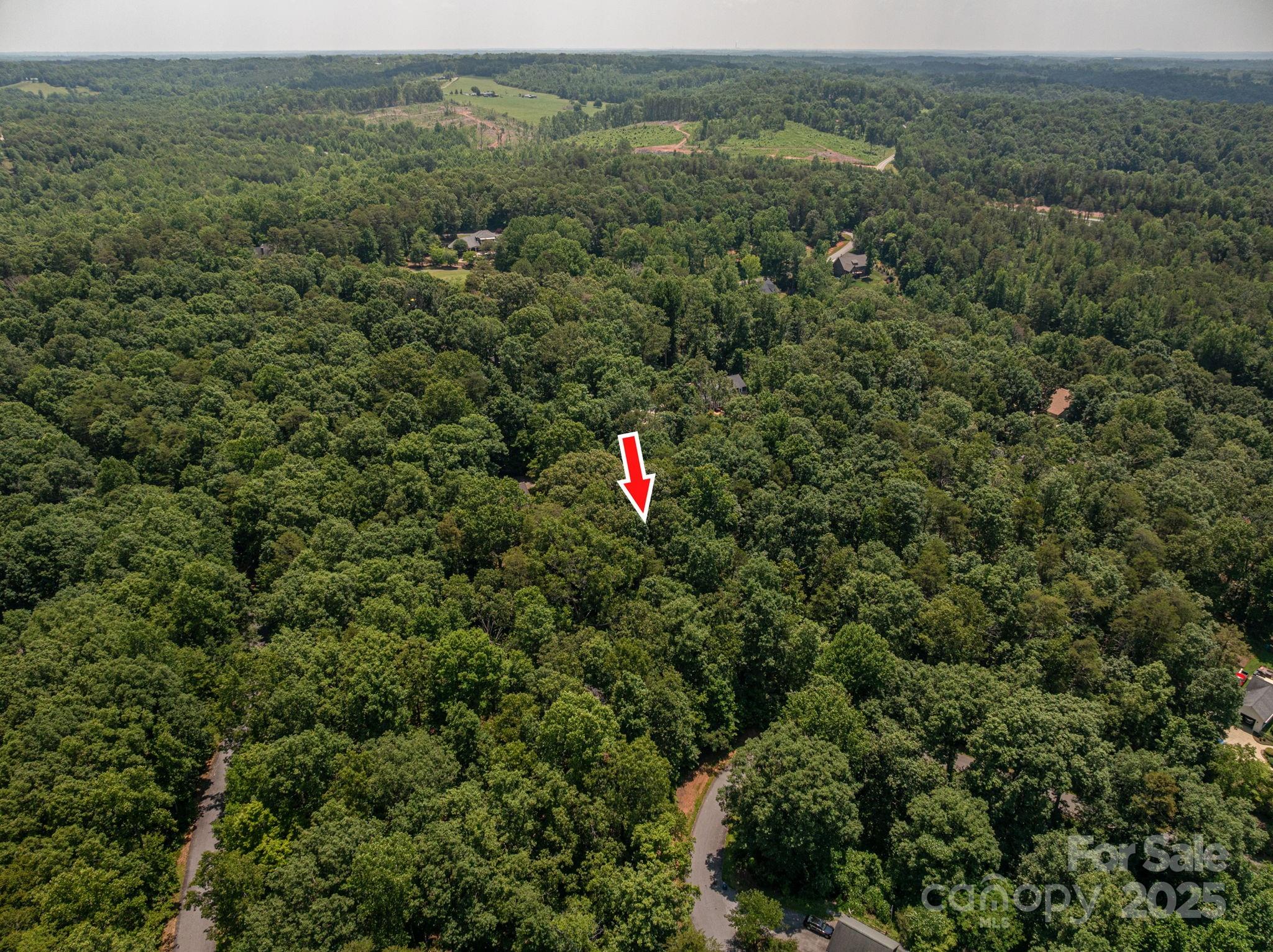 Lot at Lot #38 Moss Drive, Rutherfordton, photo 4 of 24