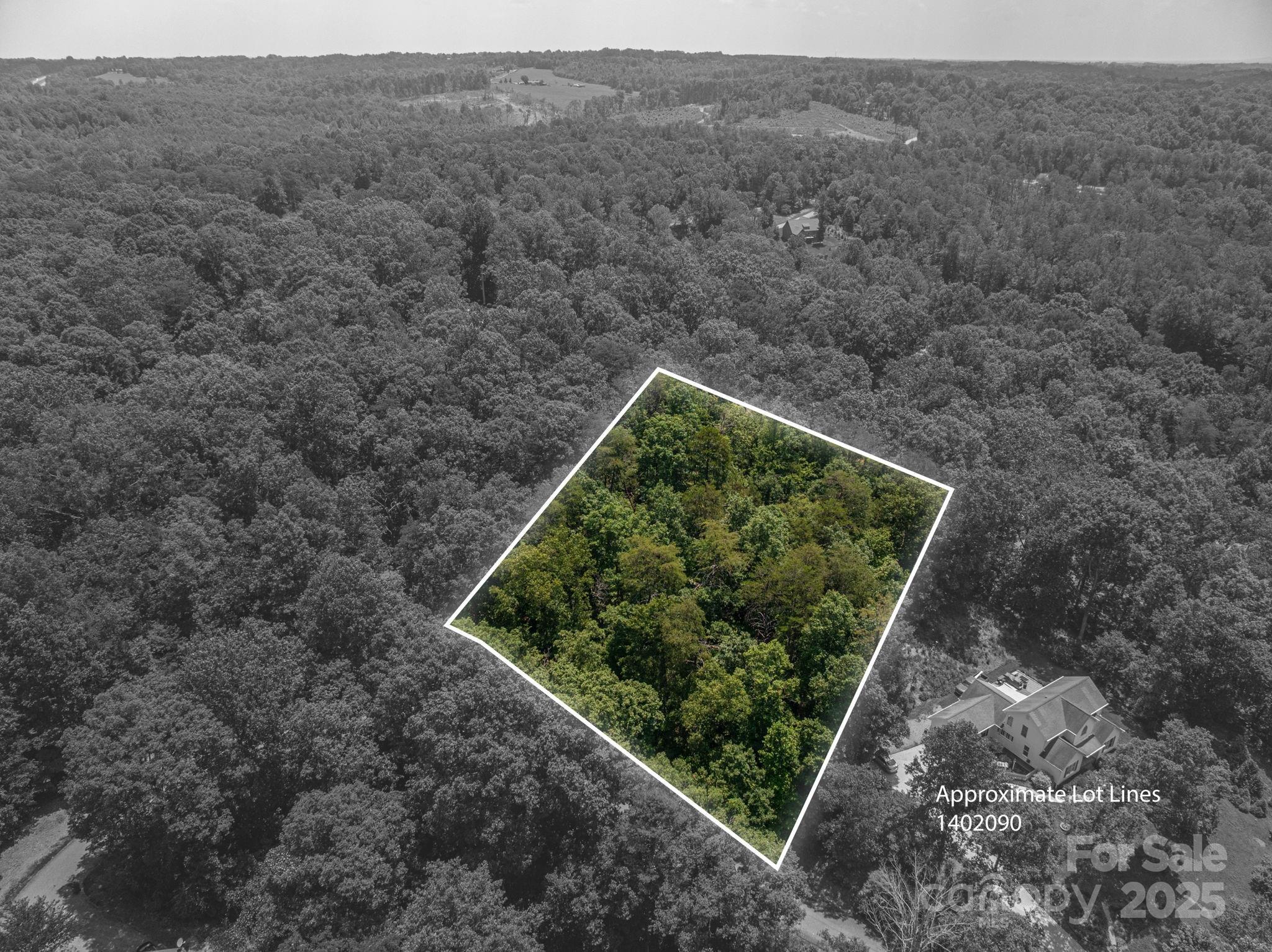 Lot at Lot #36 Moss Drive, Rutherfordton, photo 2 of 23