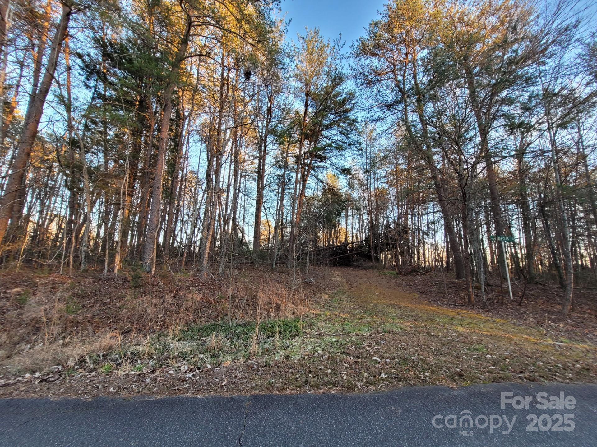 Lot at 00 Washburn Lane, Rutherfordton, photo 3 of 45