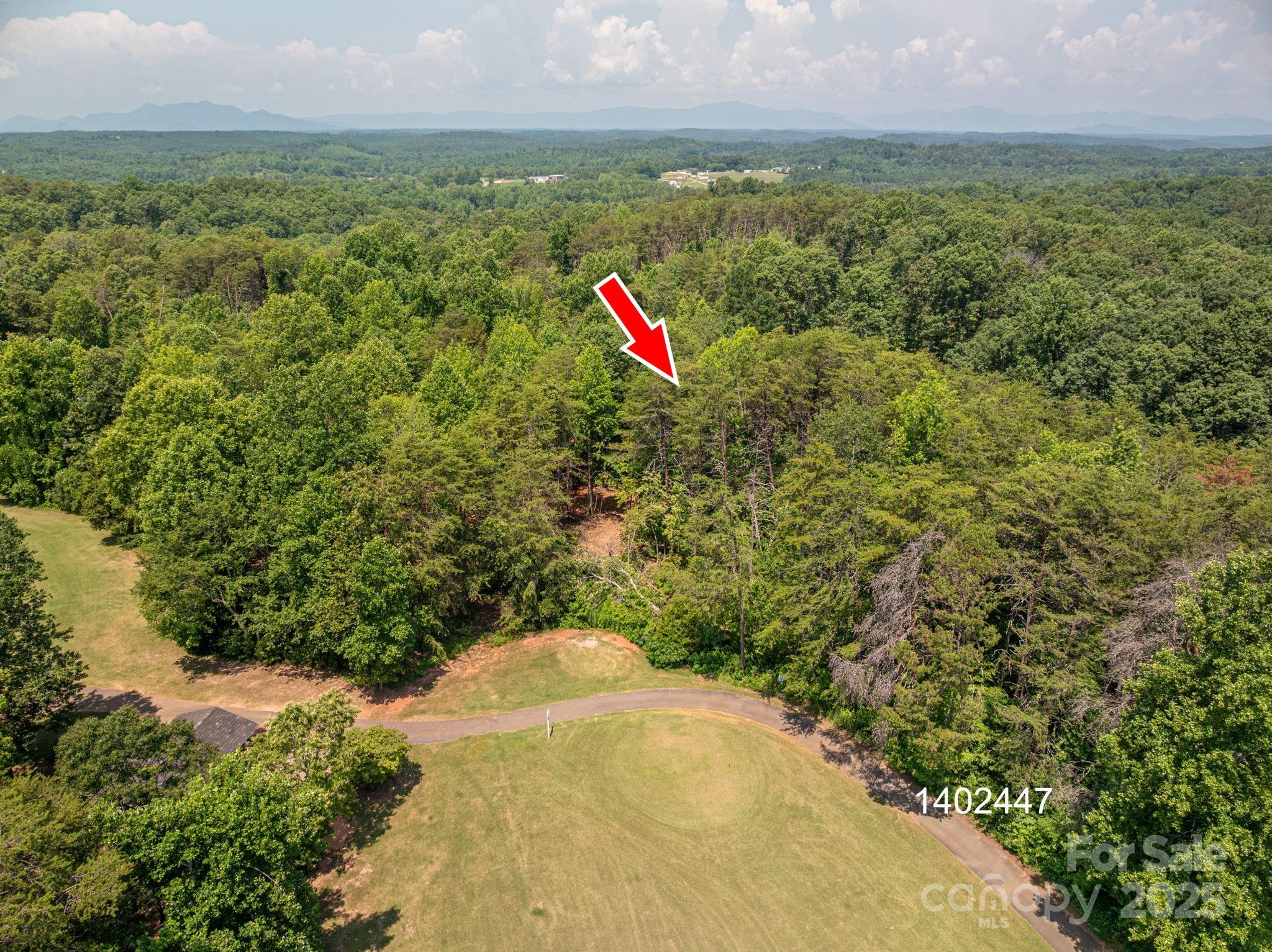 Lot at 00 Washburn Lane, Rutherfordton, photo 4 of 45
