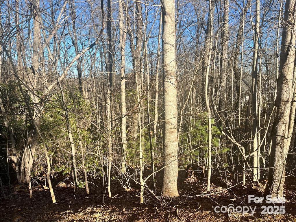 Lot at 129 Pinnacle Peak Lane, Flat Rock, photo 3 of 4