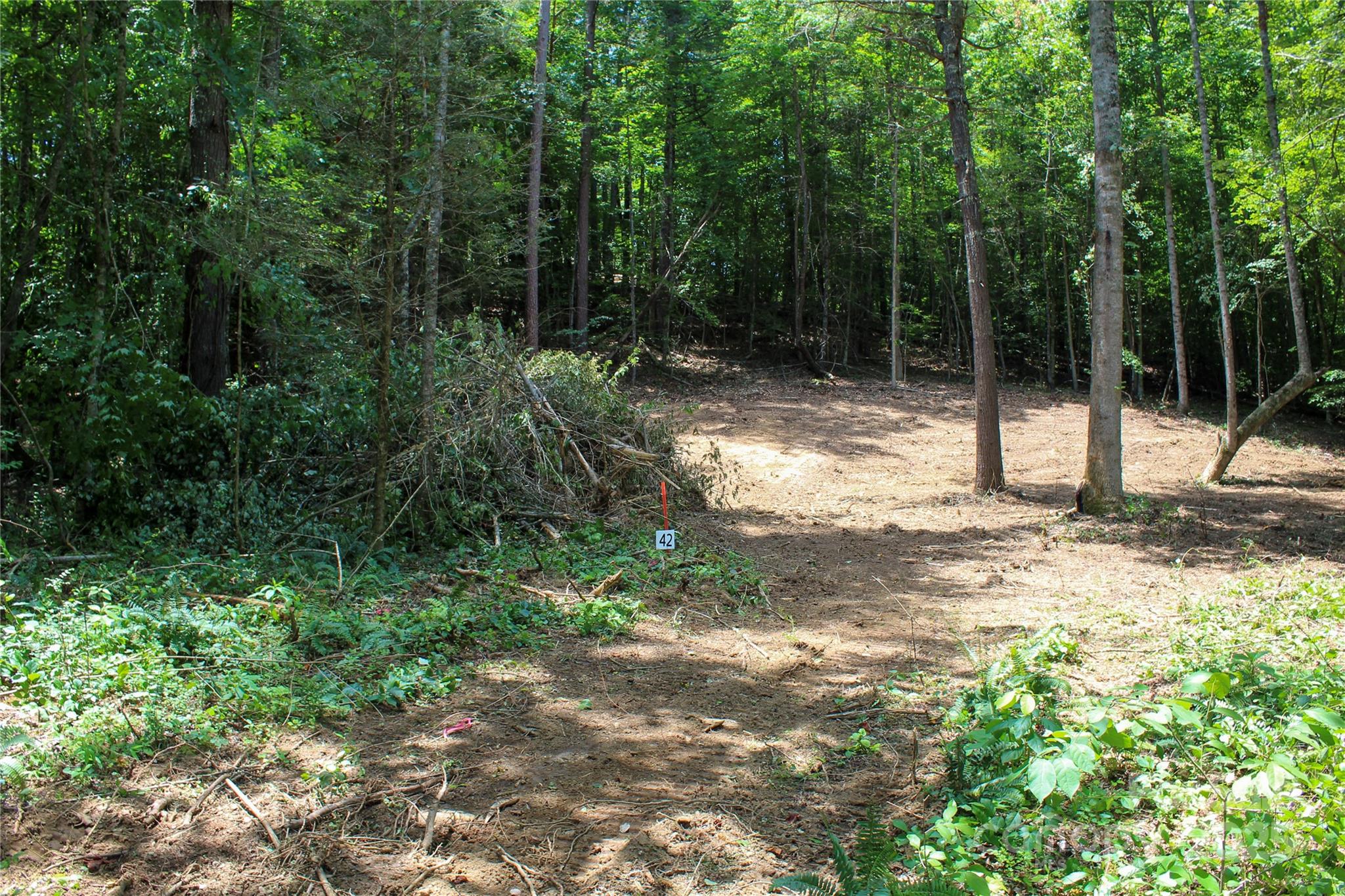Lot at 9999 Gabriels Creek Road, Mars Hill, photo 2 of 19