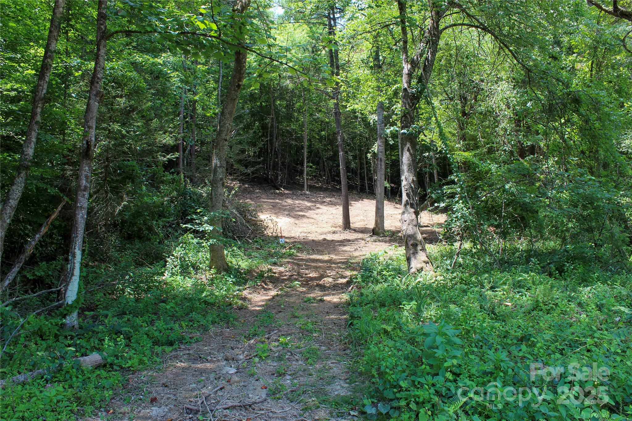 Lot at 9999 Gabriels Creek Road, Mars Hill, photo 4 of 19