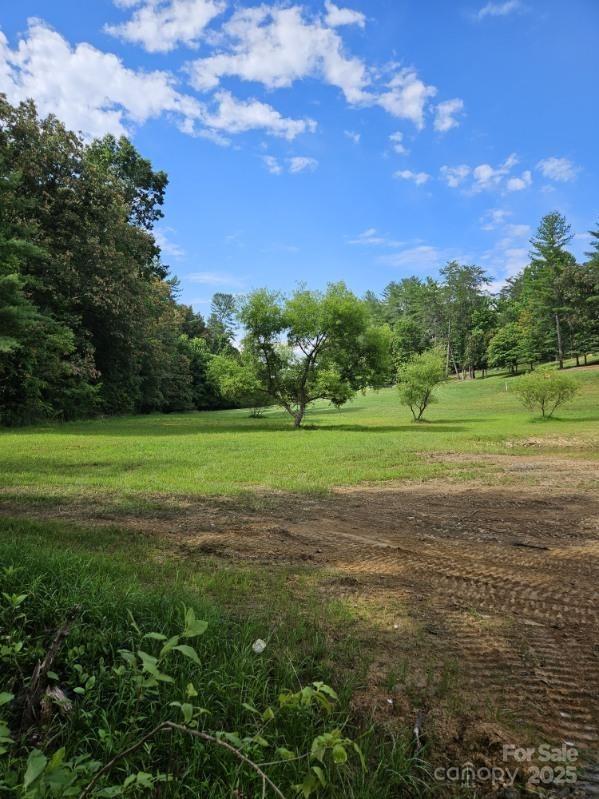 Lot at 9999 Gabriels Creek Road, Mars Hill, photo 6 of 19