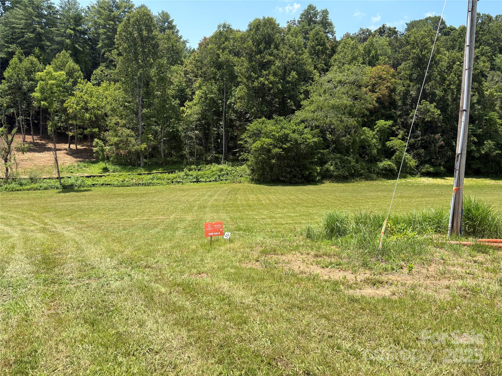 Lot at 9999 Settlers Trail, Mars Hill, photo 3 of 19