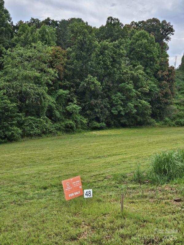 Lot at 9999 Settlers Trail, Mars Hill, photo 4 of 19