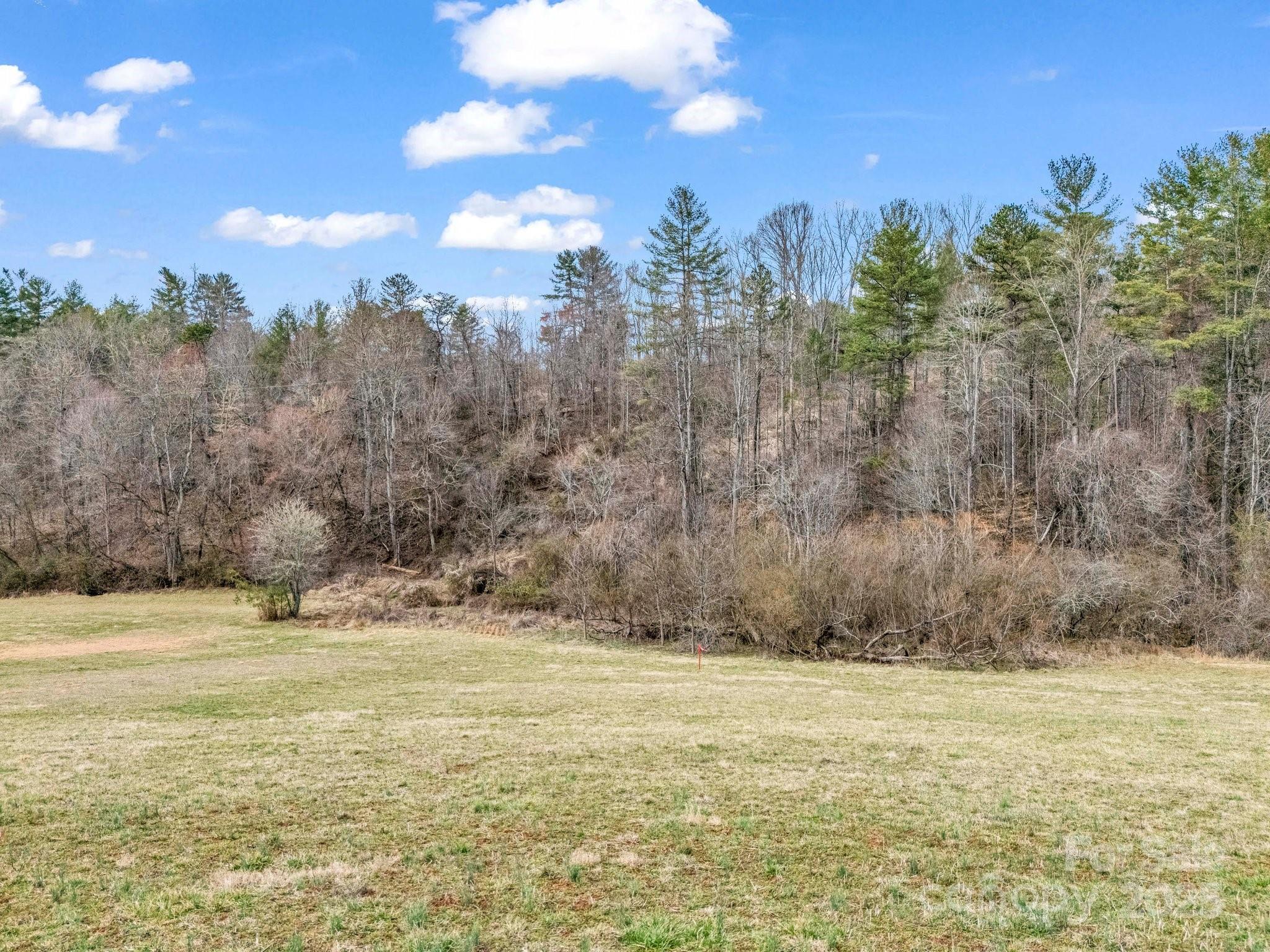 Lot at 9999 Settlers Trail, Mars Hill, photo 12 of 19