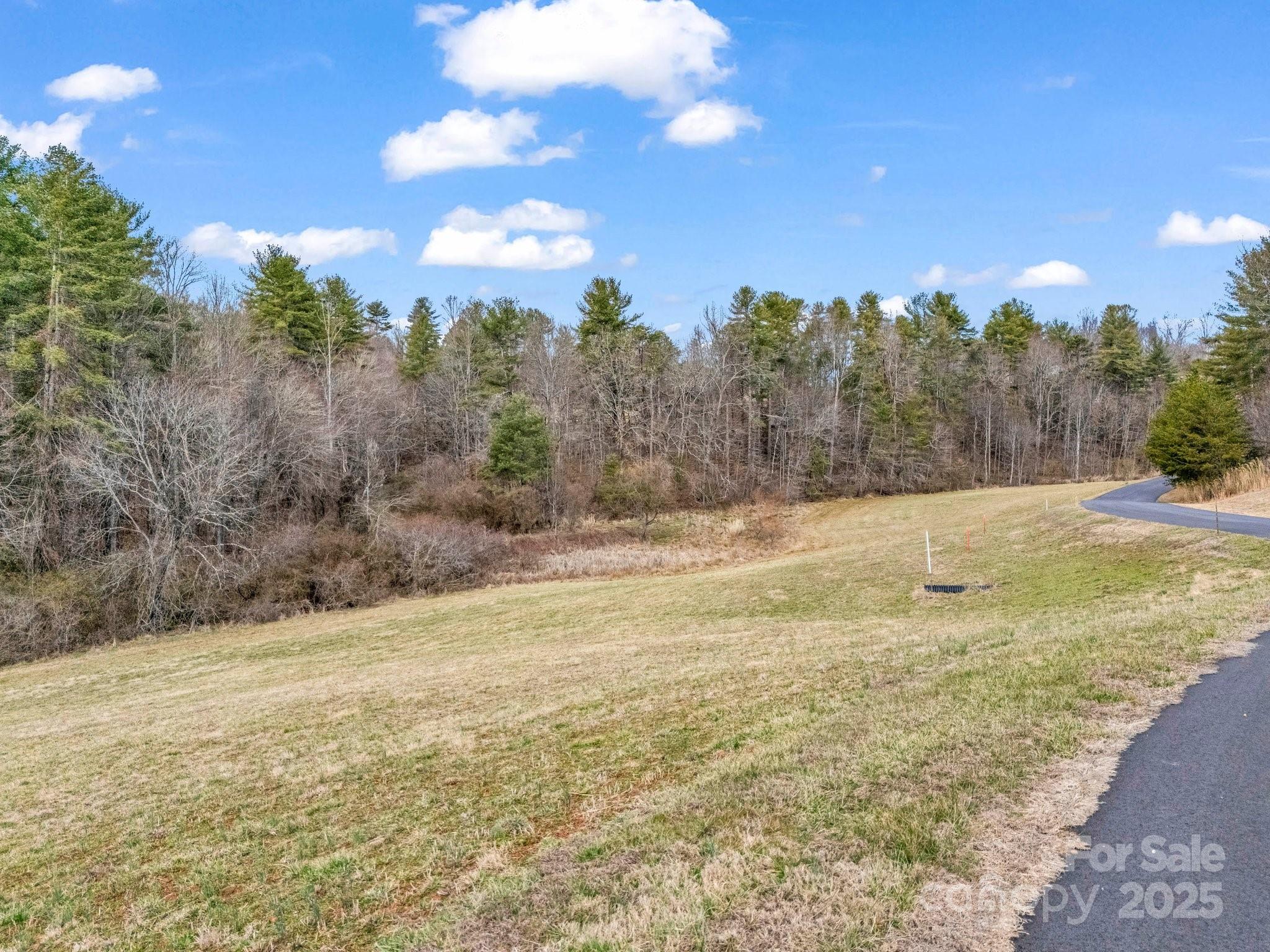 Lot at 9999 Settlers Trail, Mars Hill, photo 13 of 19