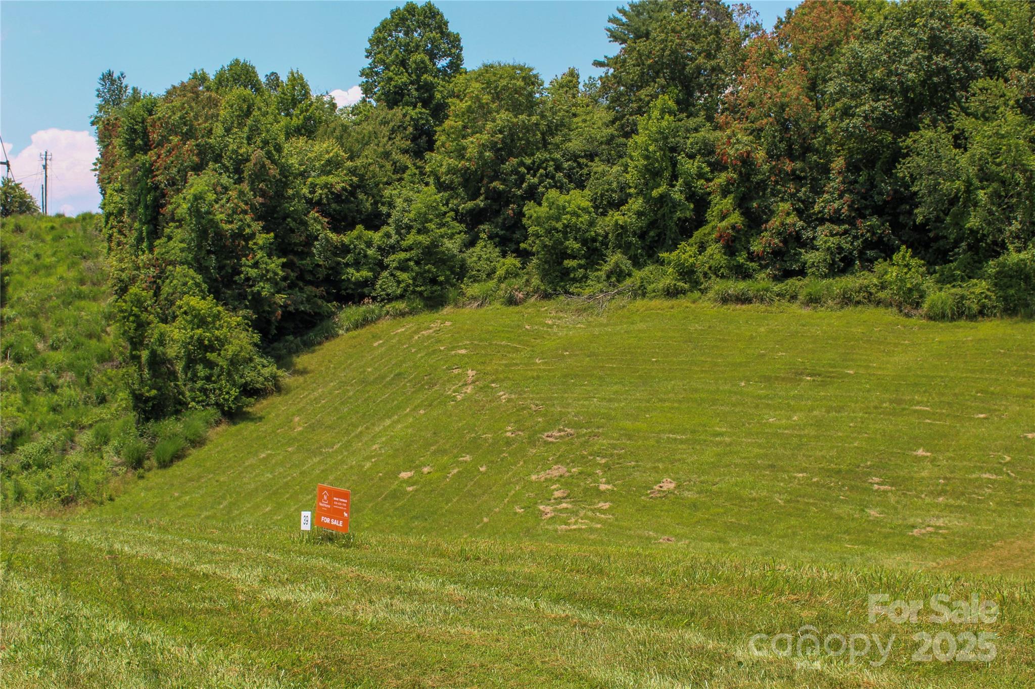 Lot at 9999 Settlers Trail, Mars Hill, photo 3 of 24